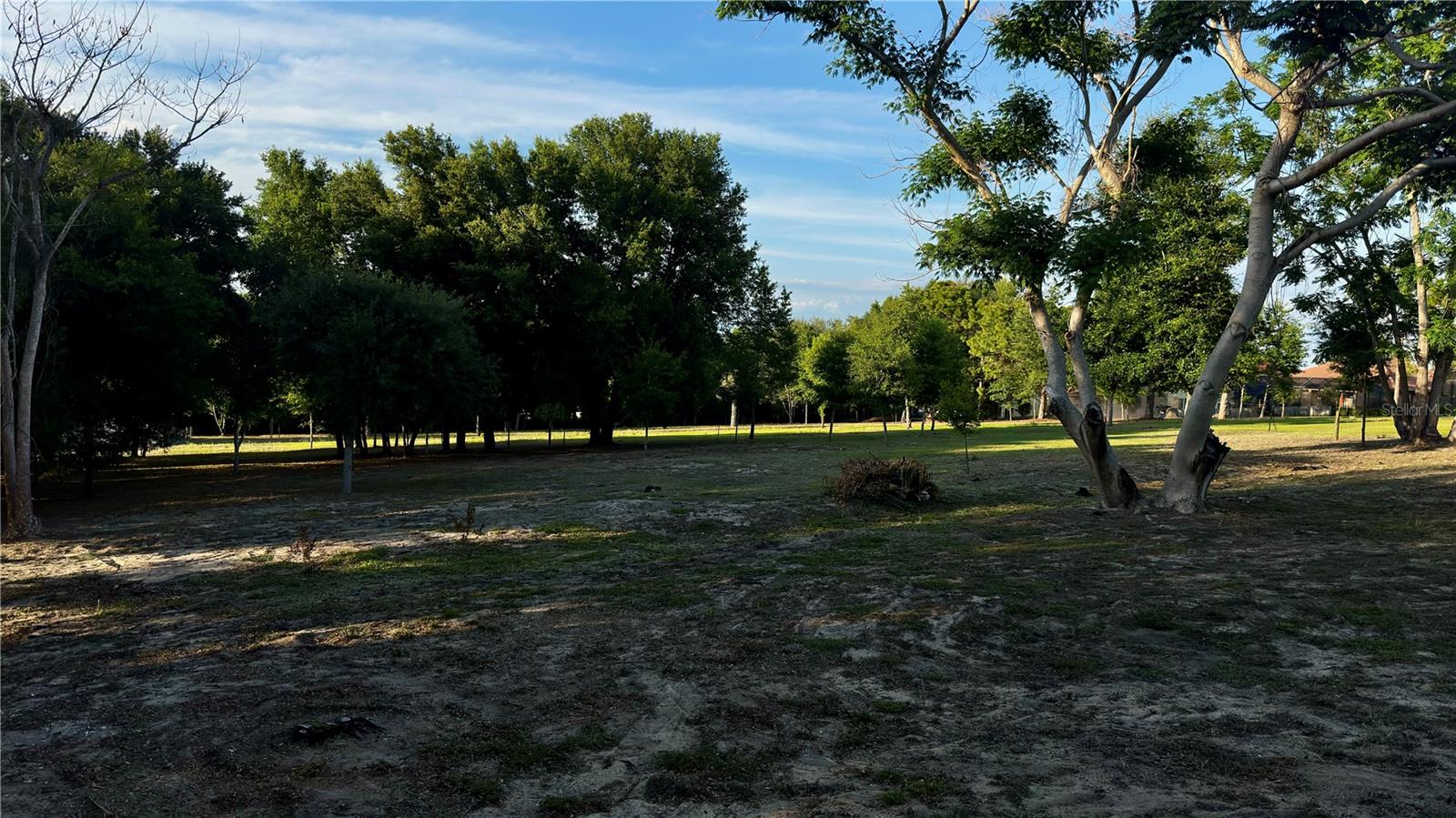 0 TOMATO HILL RD, LEESBURG, FL — photo 48