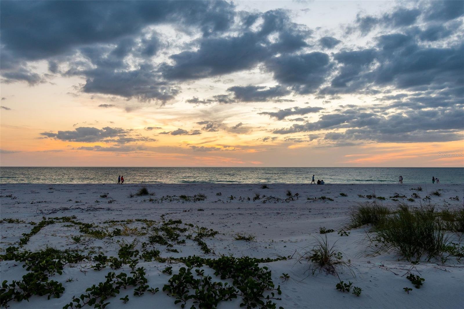 930 ELDORADO AVE, CLEARWATER BEACH, FL — photo 99