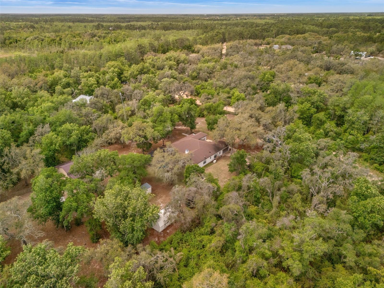 6030 MILLSTREAM DR, GROVELAND, FL — photo 78