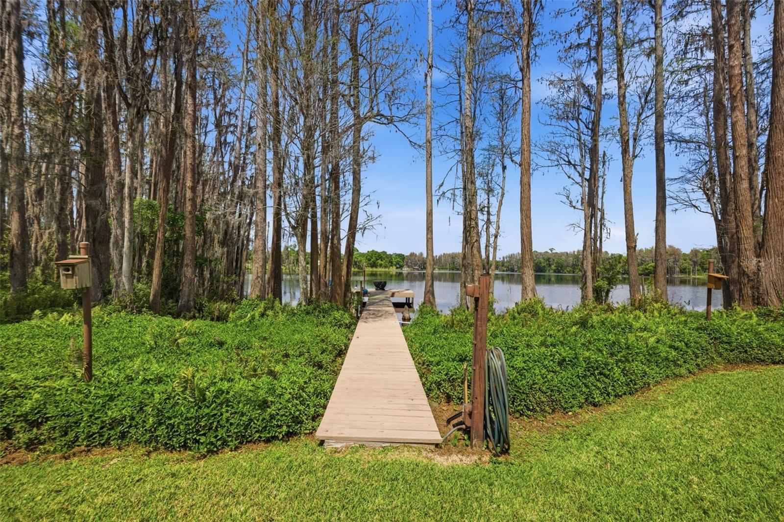 820 NEWBERGER RD, LUTZ, FL — photo 3