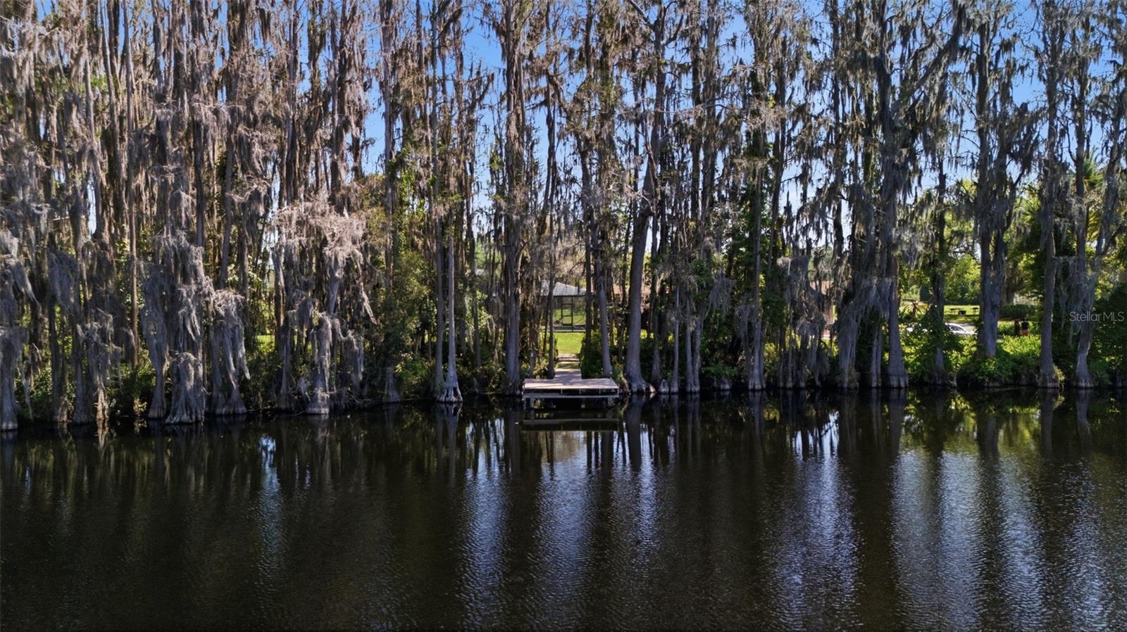 820 NEWBERGER RD, LUTZ, FL — photo 9
