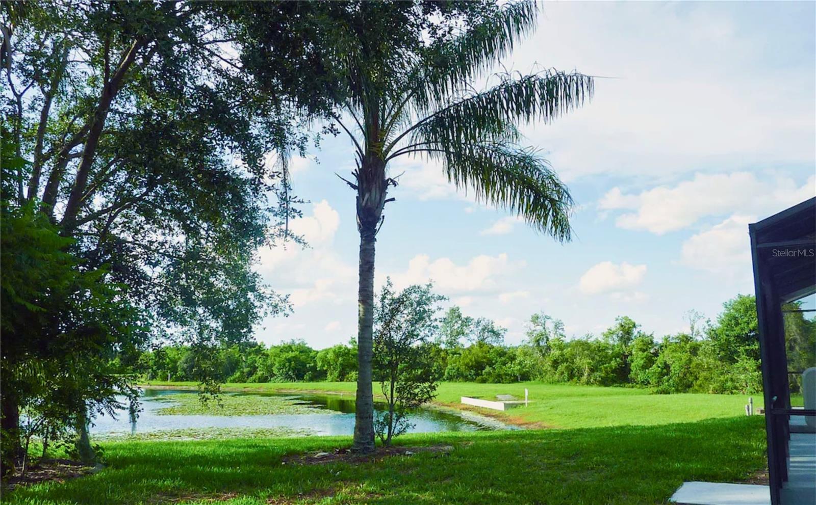 3433 SWALLOW HILL ST, CLERMONT, FL — photo 79