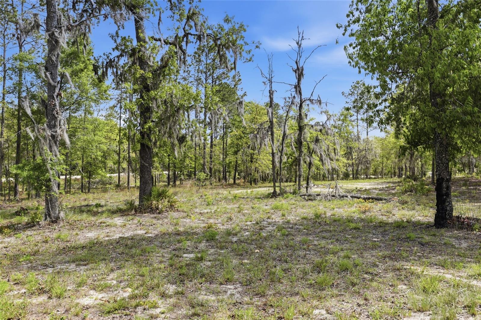 2640 NE 74TH AVE, HIGH SPRINGS, FL — photo 36