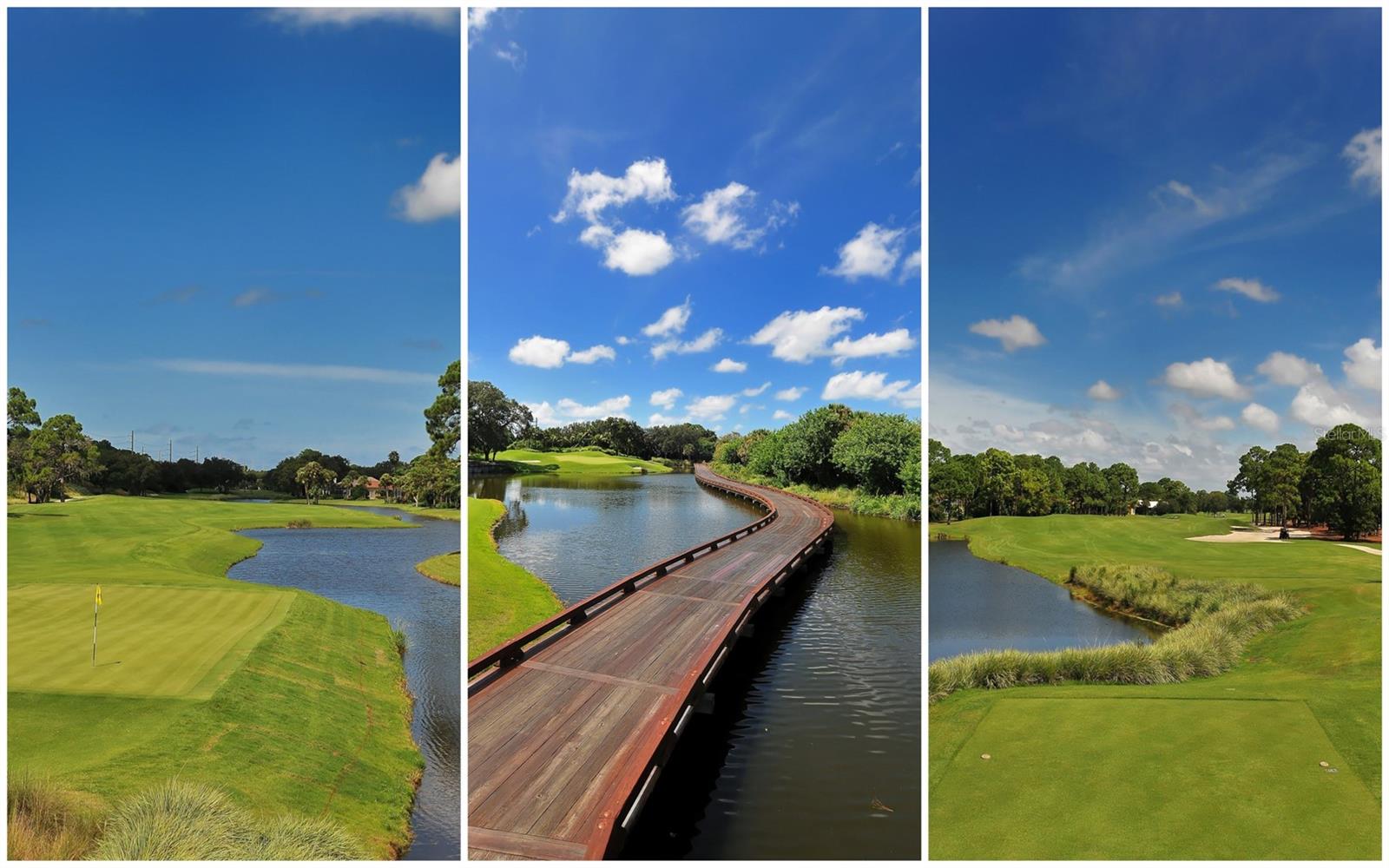 51 MACEWEN DR #5, OSPREY, FL — photo 41