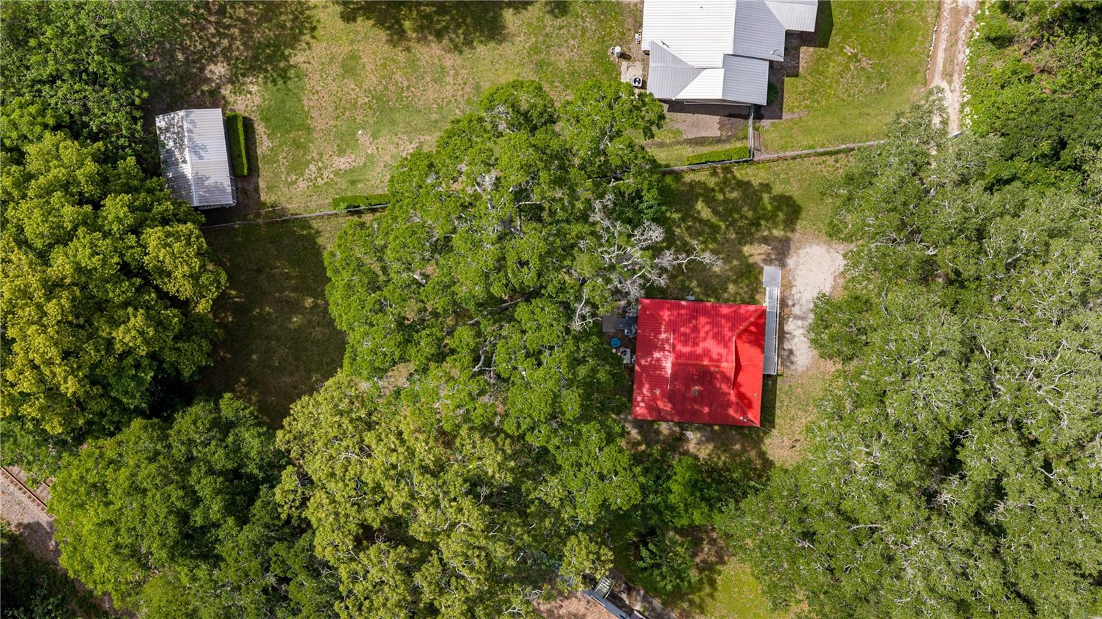3331 SE 11TH AVE, OCALA, FL — photo 4