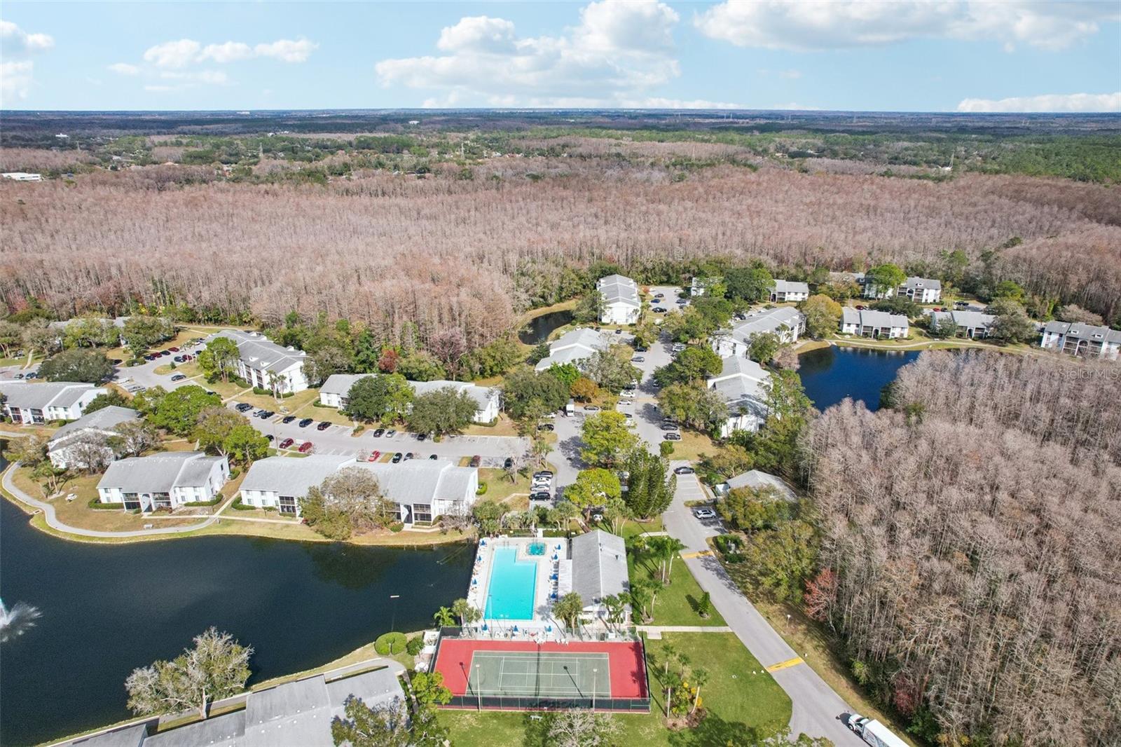 1344 PINE RIDGE CIR E #E3, TARPON SPRINGS, FL — photo 24