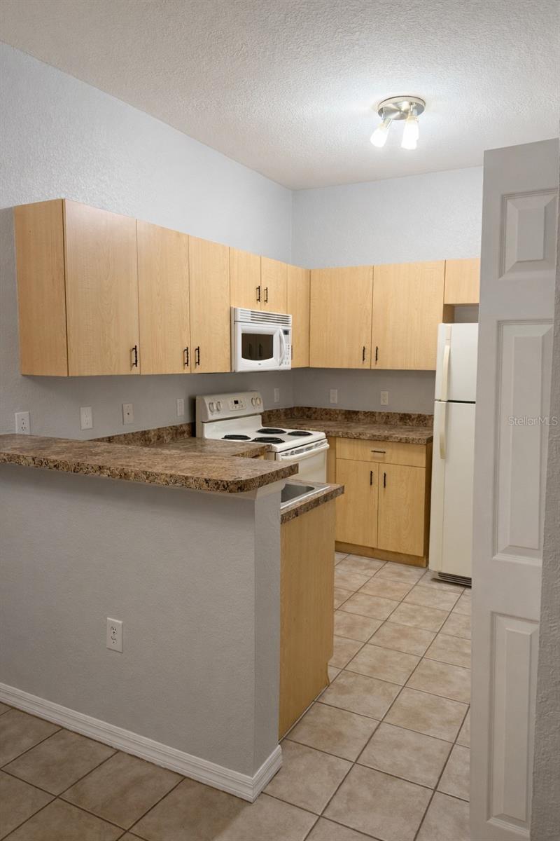 341 PORT PLEASANT DR #341, KISSIMMEE, FL — photo 3