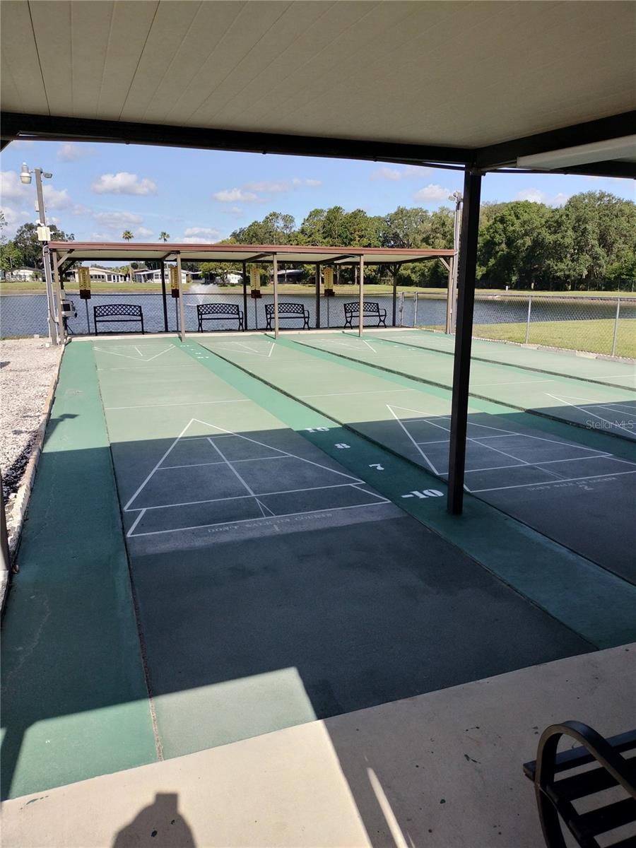 3205 HICKORY DR, WESLEY CHAPEL, FL — photo 41