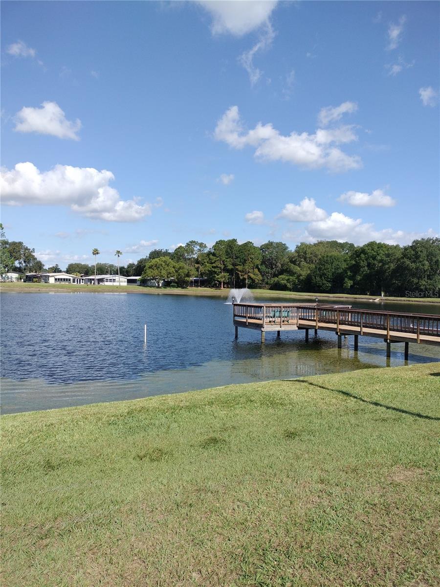3205 HICKORY DR, WESLEY CHAPEL, FL — photo 42