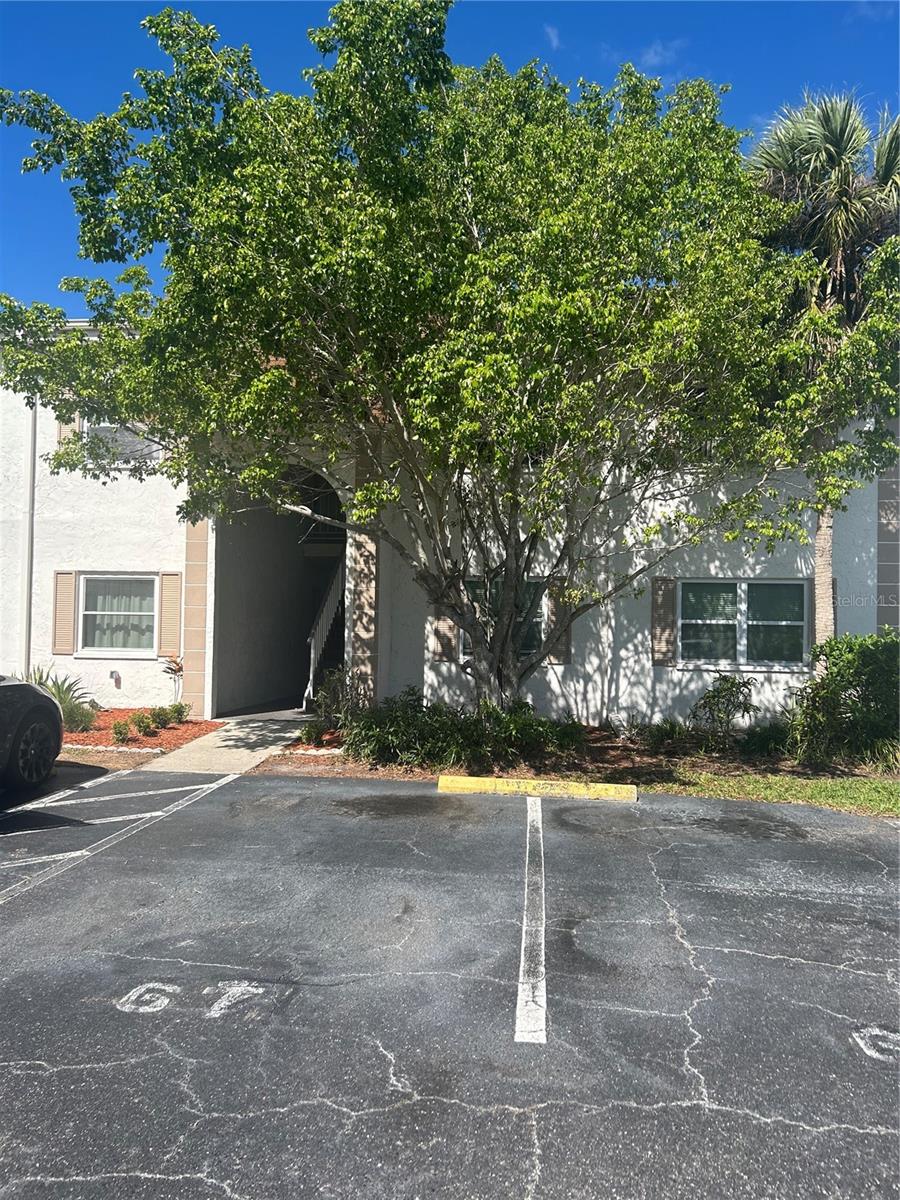 383 S MCMULLEN BOOTH RD #68, CLEARWATER, FL — photo 2