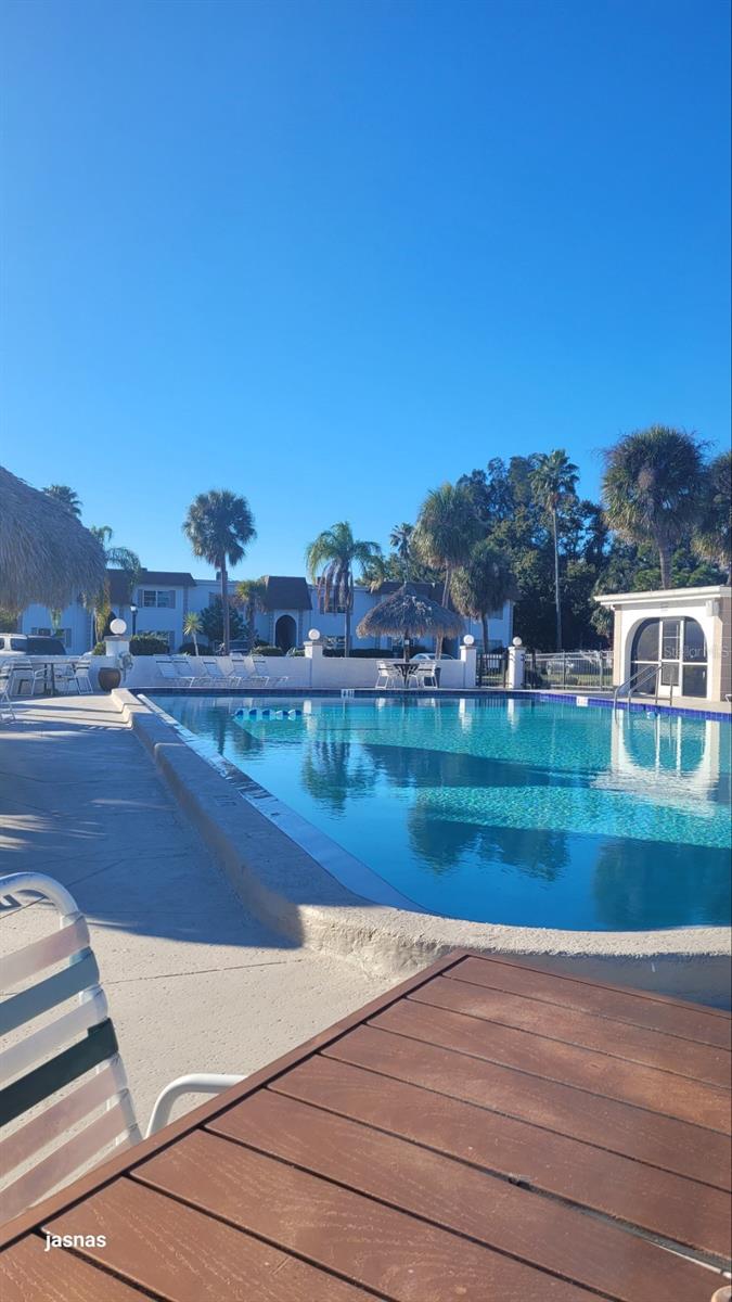 383 S MCMULLEN BOOTH RD #68, CLEARWATER, FL — photo 33
