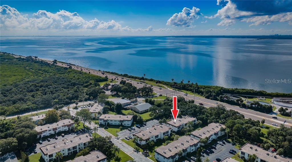 383 S MCMULLEN BOOTH RD #68, CLEARWATER, FL — photo 3