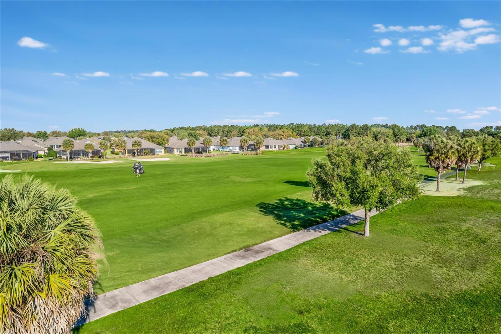 9565 SW 70TH LOOP, OCALA, FL — photo 53