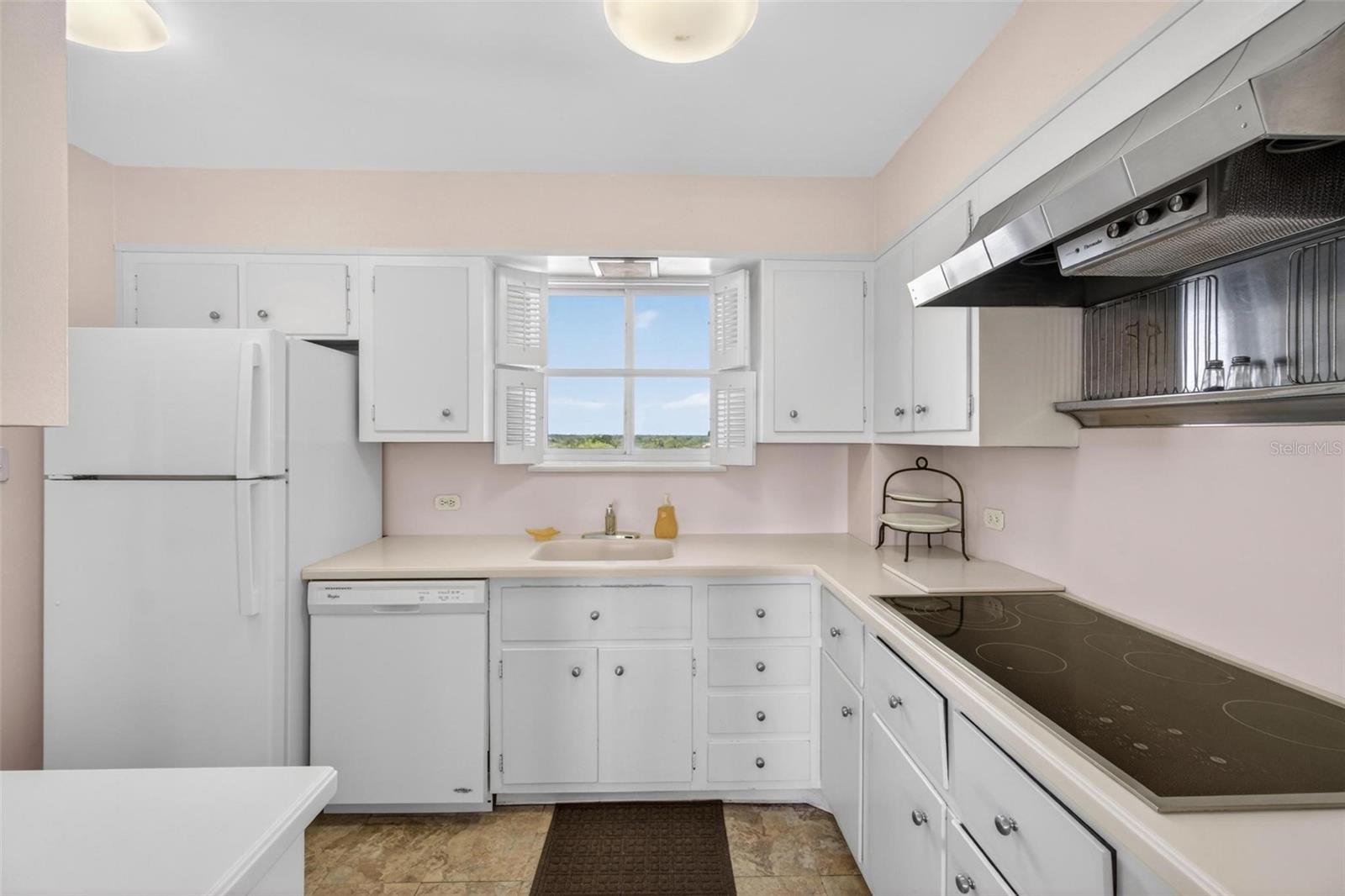1365 SNELL ISLE BLVD NE #6A, ST PETERSBURG, FL — photo 8