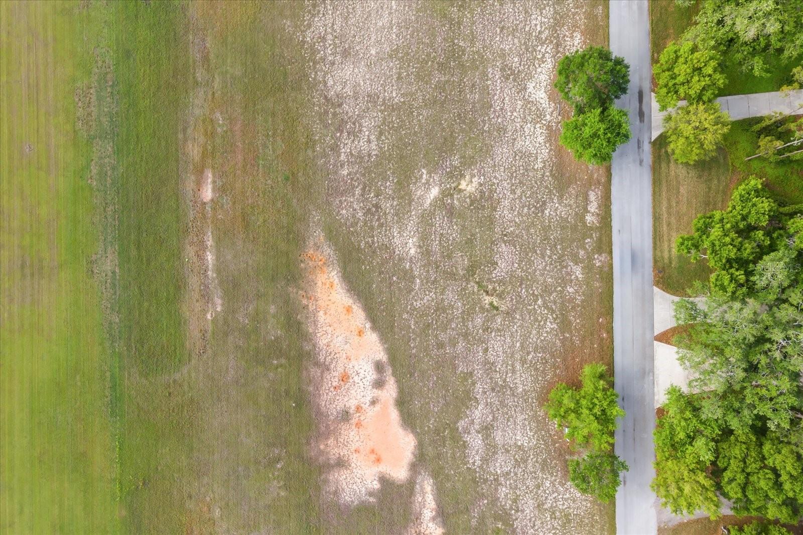 GRASS ROOTS RD #Lot #11, GROVELAND, FL — photo 38