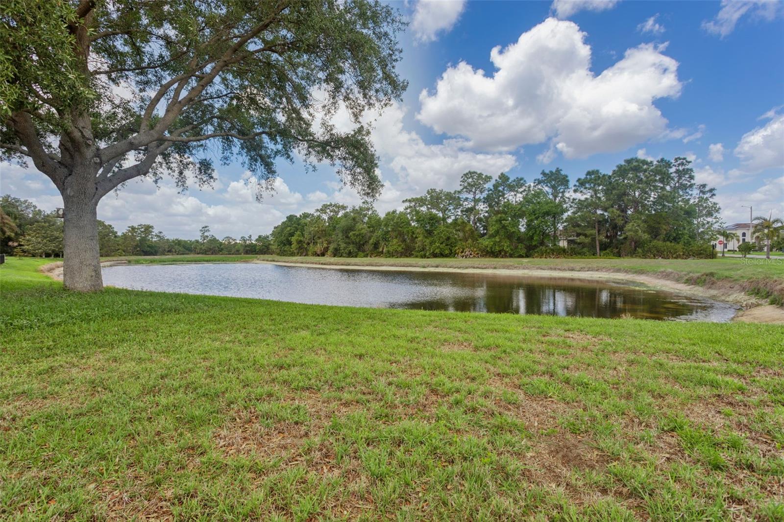 9103 PINEBREEZE DR, RIVERVIEW, FL — photo 27