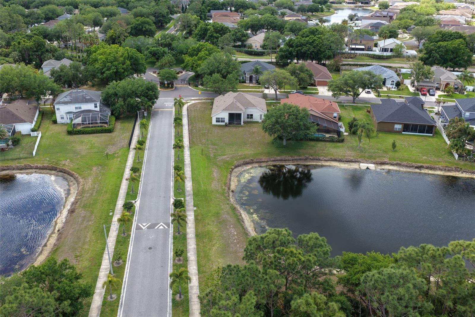 9103 PINEBREEZE DR, RIVERVIEW, FL — photo 31