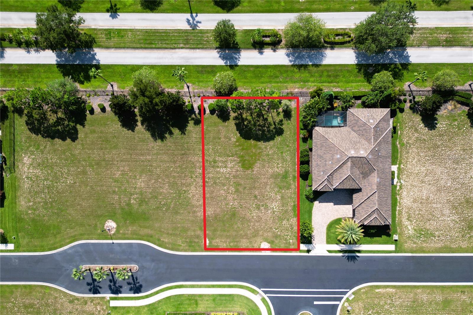 247 BLAZING STAR AVE, LAKE ALFRED, FL — photo 5