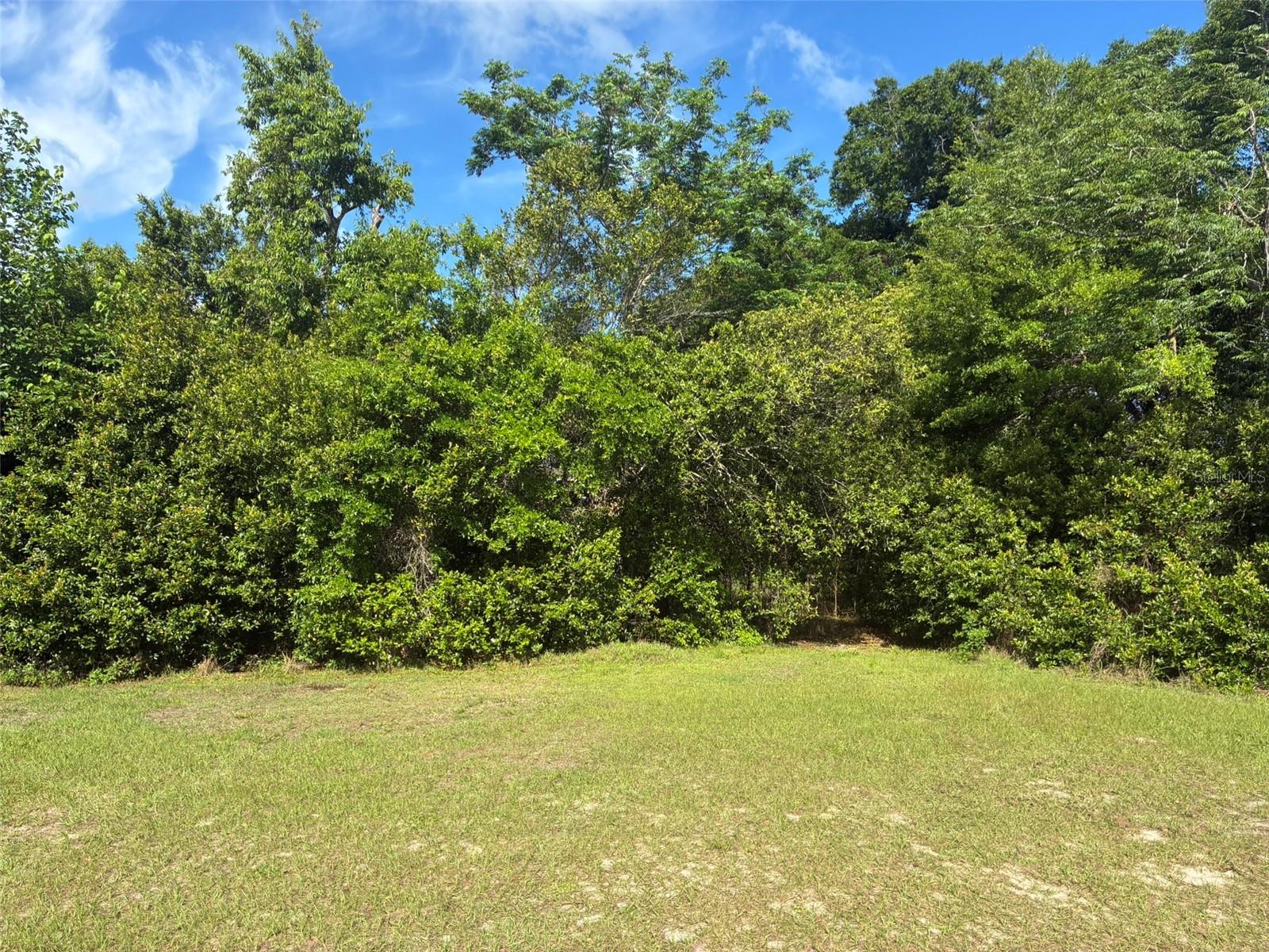 3752 N ORANGE BLOSSOM TRL, MOUNT DORA, FL — photo 3