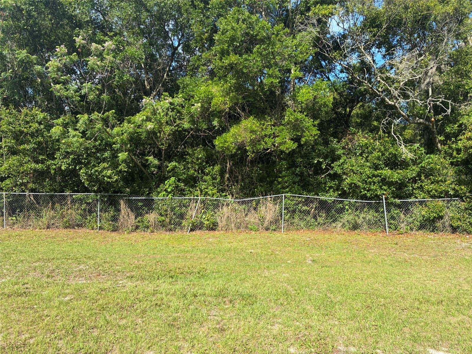 3752 N ORANGE BLOSSOM TRL, MOUNT DORA, FL — photo 13