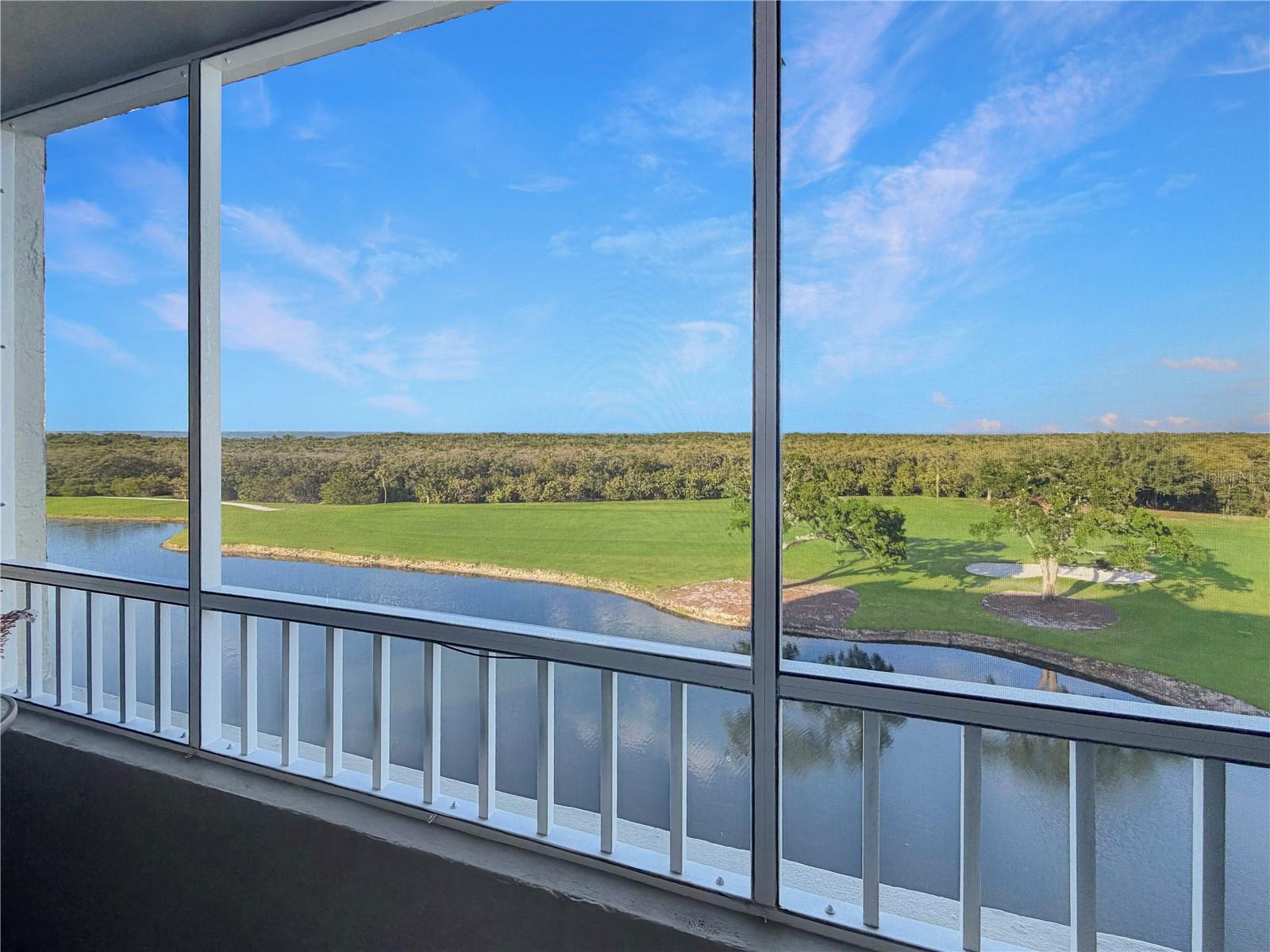 2333 FEATHER SOUND DR #C507, CLEARWATER, FL — photo 2