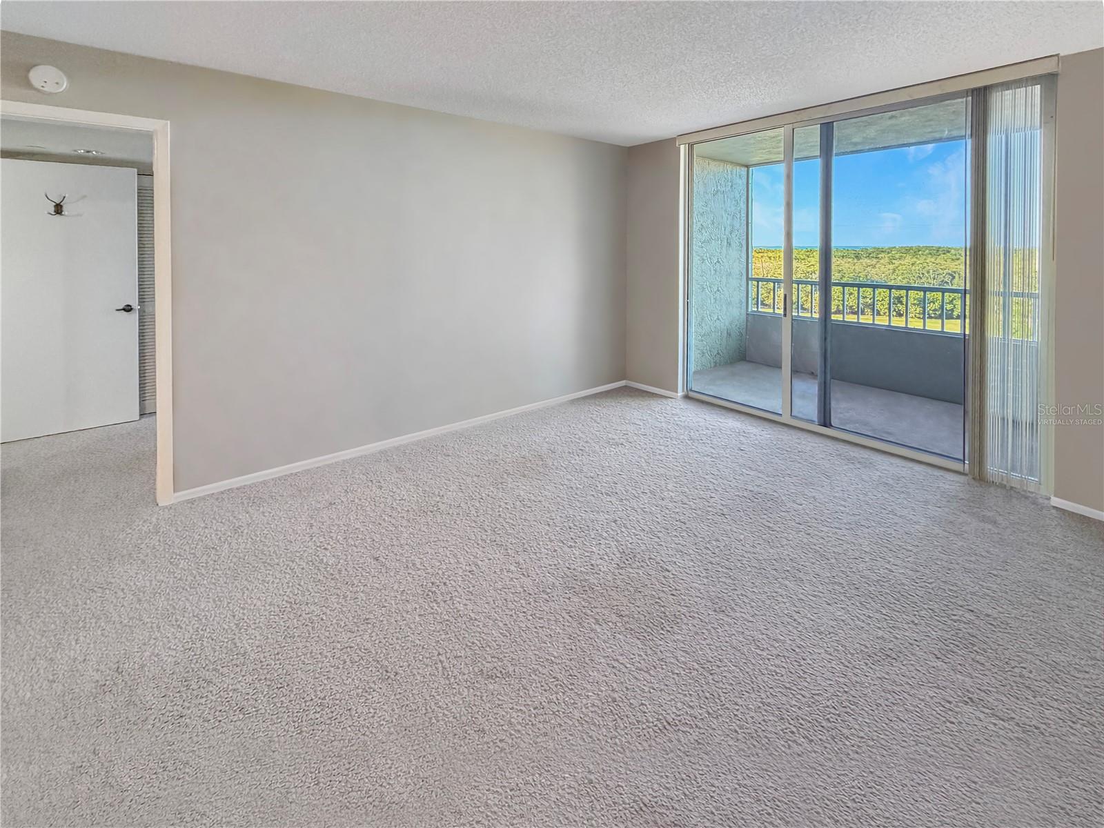 2333 FEATHER SOUND DR #C507, CLEARWATER, FL — photo 7