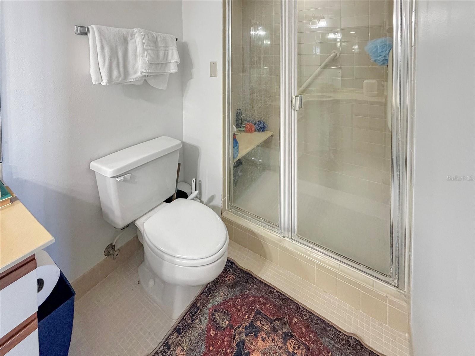 2333 FEATHER SOUND DR #C507, CLEARWATER, FL — photo 12