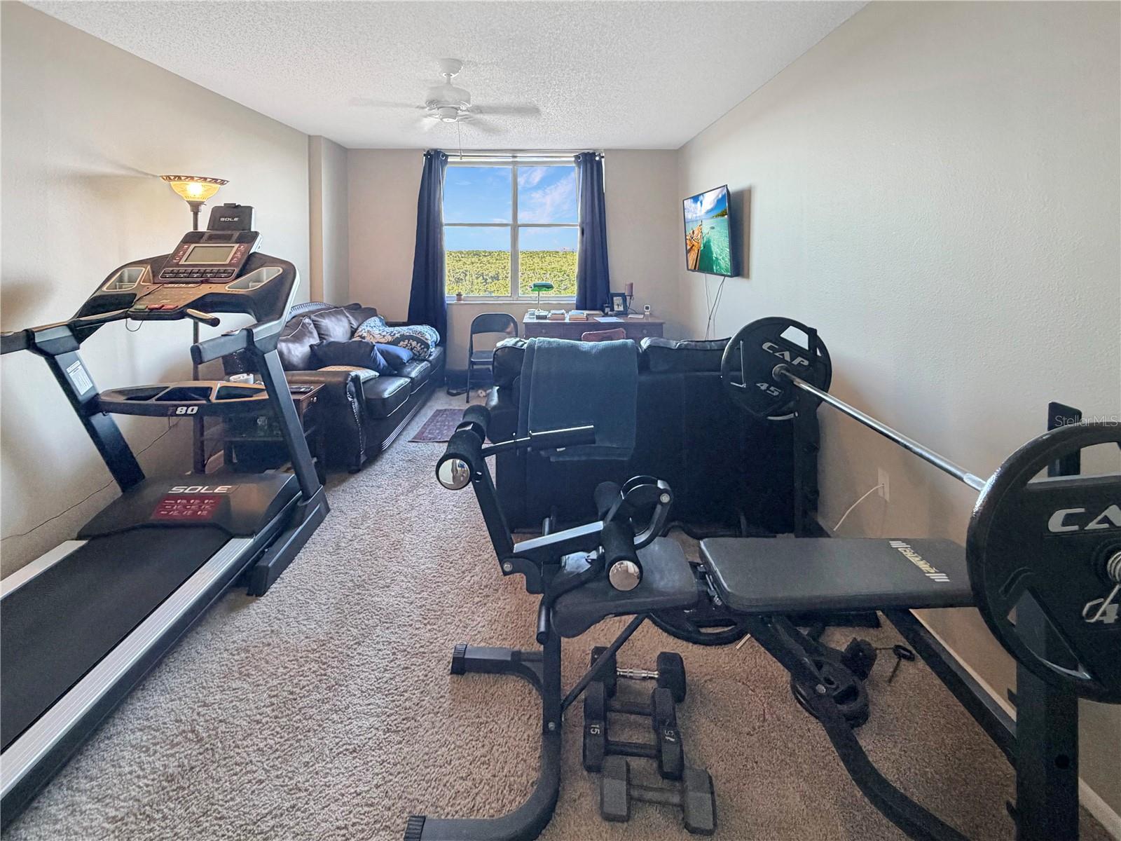 2333 FEATHER SOUND DR #C507, CLEARWATER, FL — photo 17