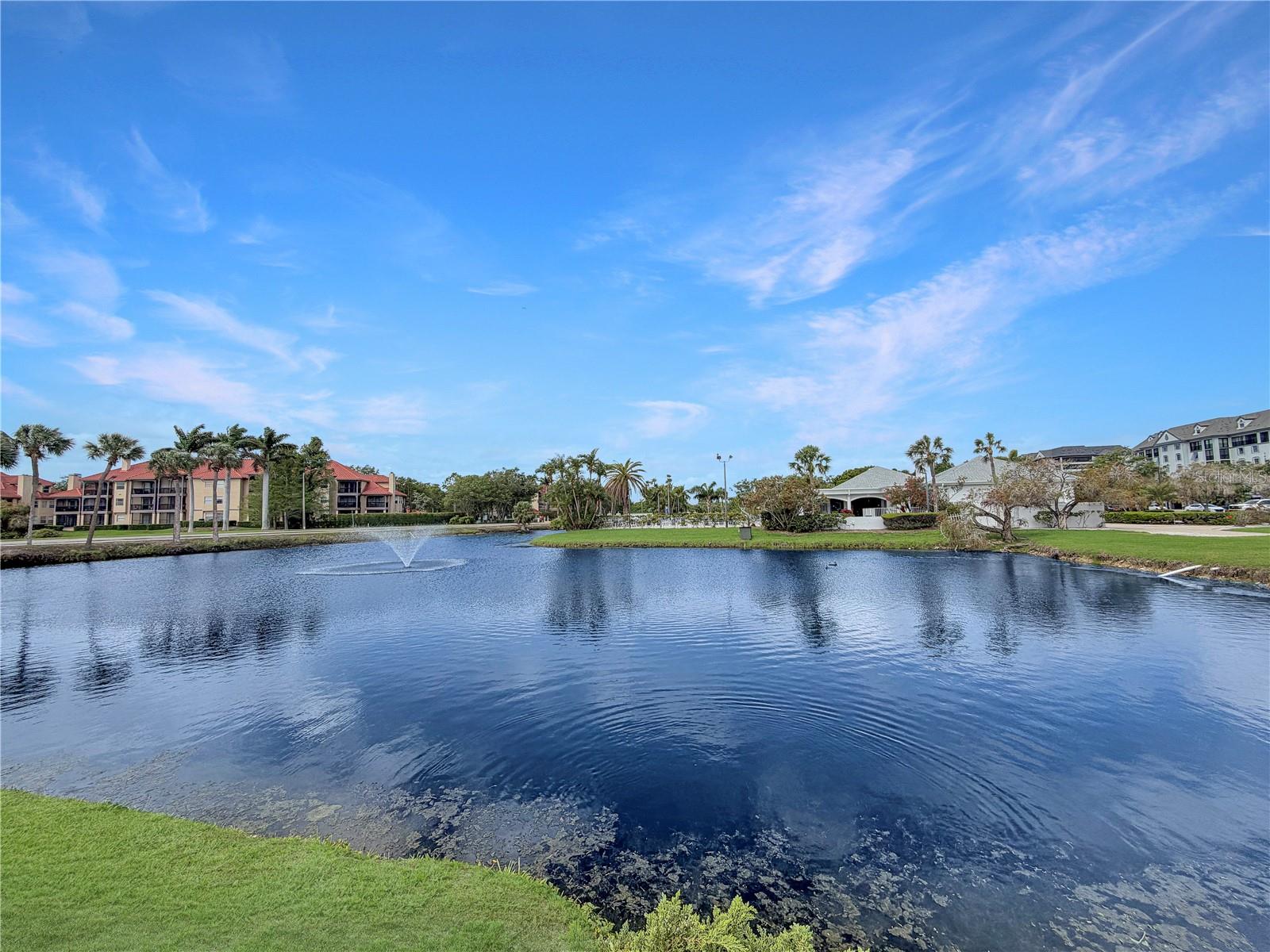 2333 FEATHER SOUND DR #C507, CLEARWATER, FL — photo 21