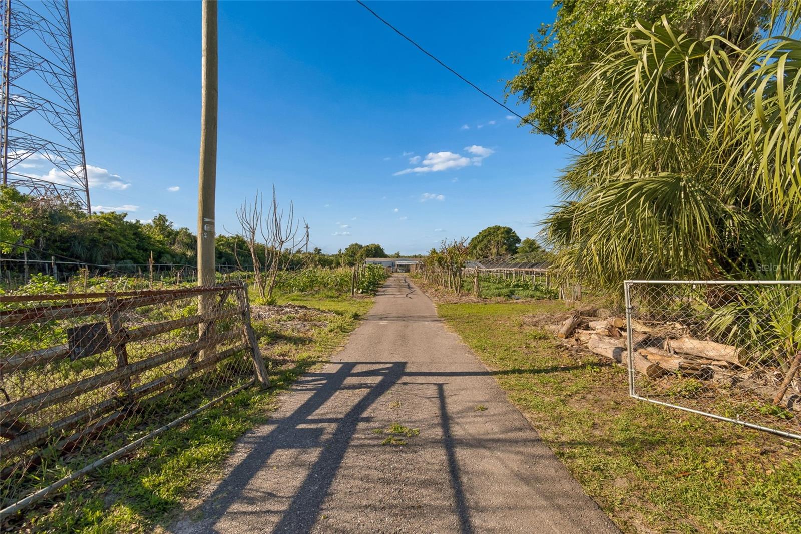 11101 SUMNER RD, WIMAUMA, FL — photo 14