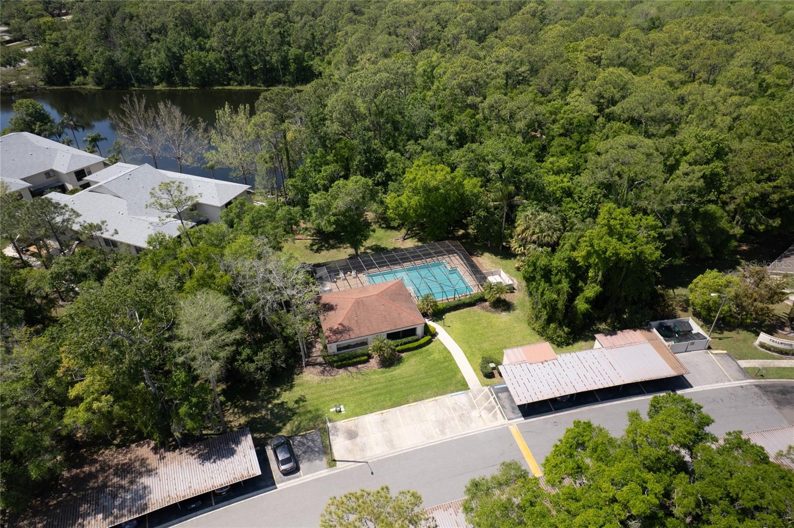 3511 TEALWOOD CIR, PALM HARBOR, FL — photo 34