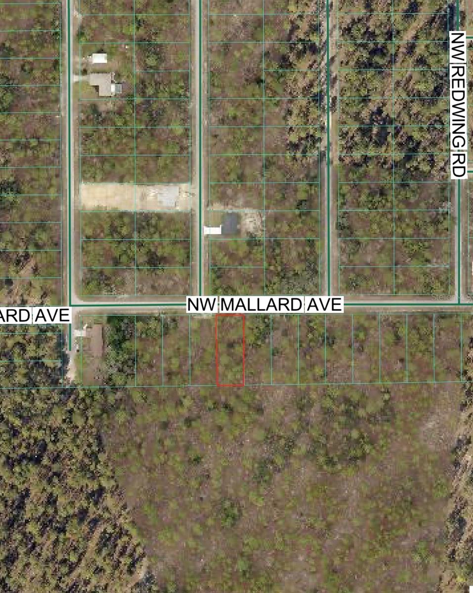NW MALLARD AVE, DUNNELLON, FL