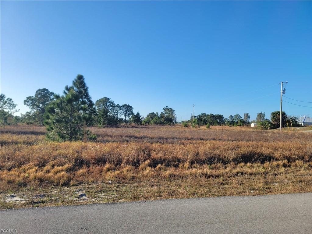 707 FRONTENAC AVE S, LEHIGH ACRES, FL — photo 2