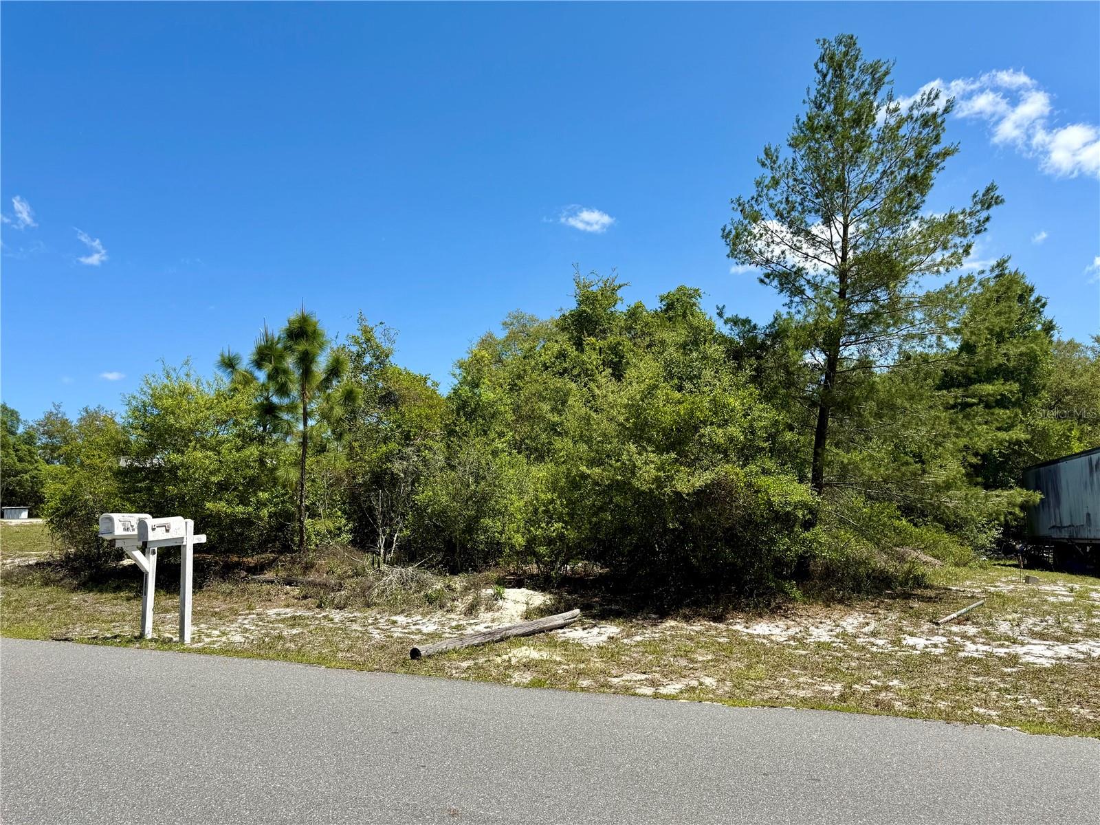 BENTON DR, EUSTIS, FL — photo 3