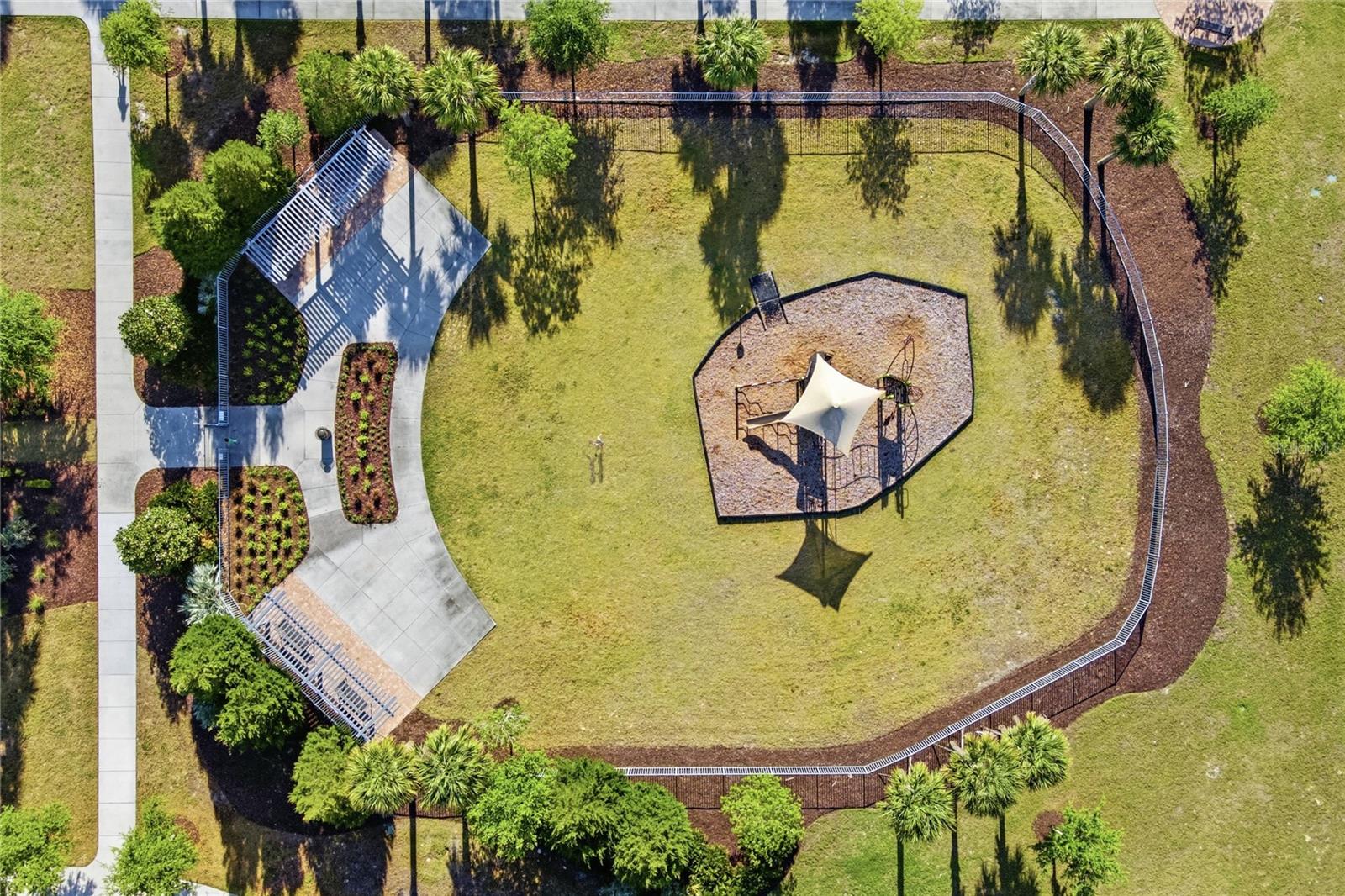 3383 FLORIGOLD GROVE ST #Lot 244, CLERMONT, FL — photo 93
