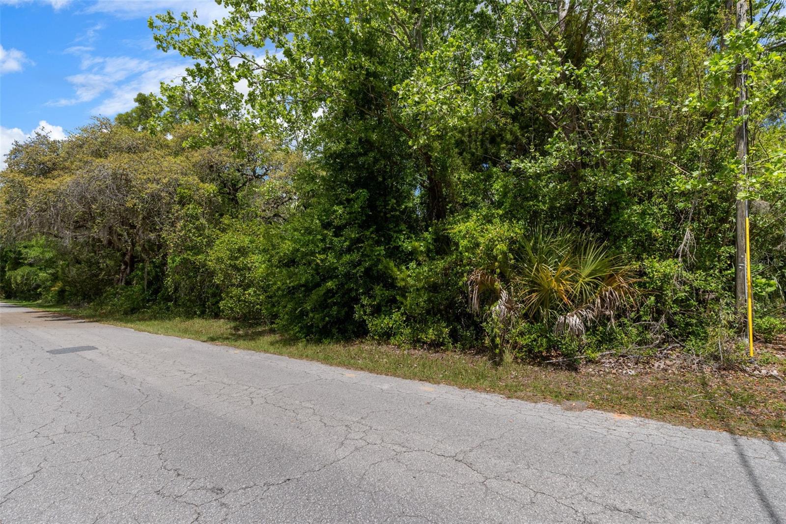 2322 W MAIN ST, INVERNESS, FL — photo 10