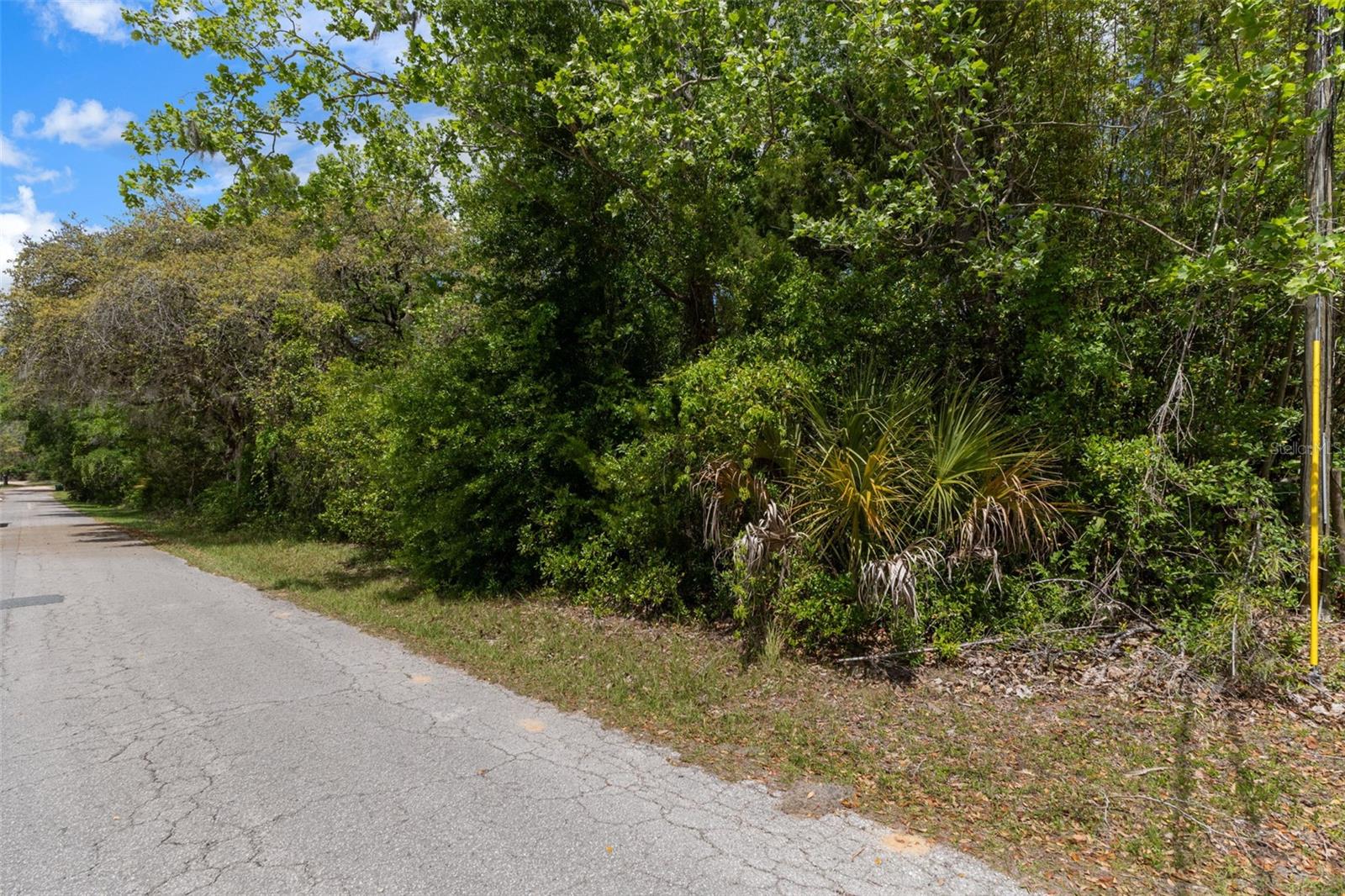 2322 W MAIN ST, INVERNESS, FL — photo 11
