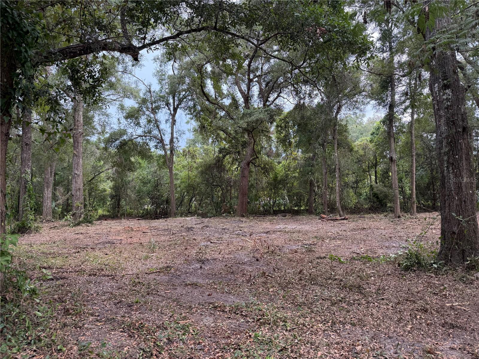 1410 NW 10TH ST, CHIEFLAND, FL