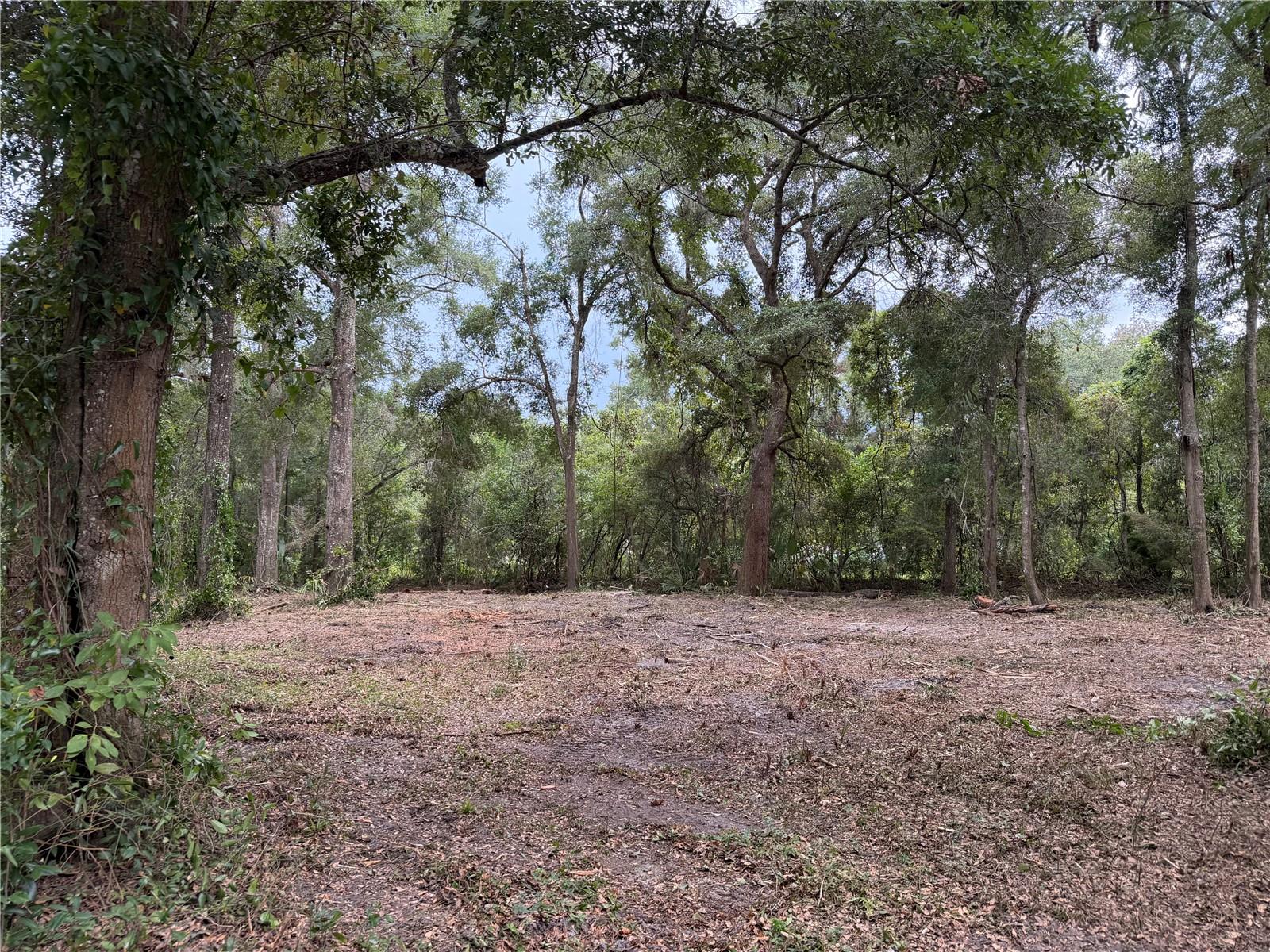 1410 NW 10TH ST, CHIEFLAND, FL — photo 4