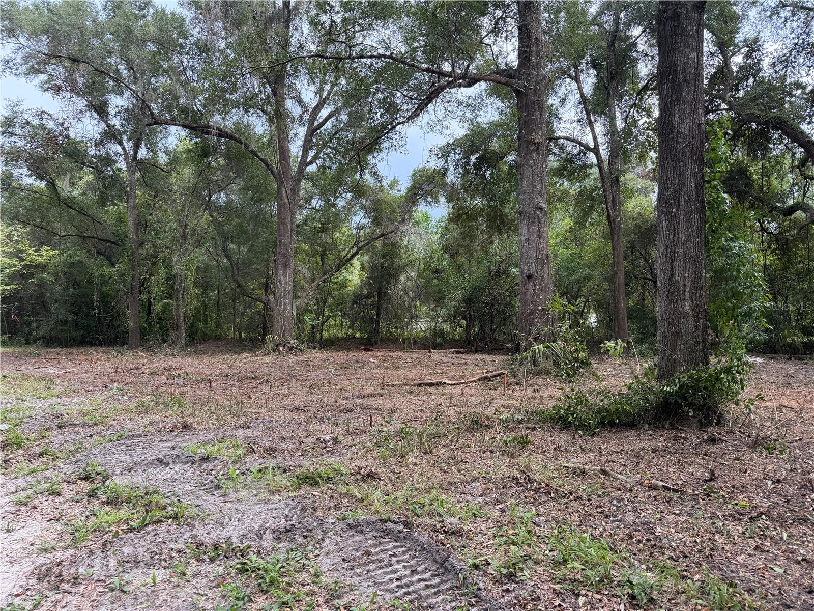 1410 NW 10TH ST, CHIEFLAND, FL — photo 5