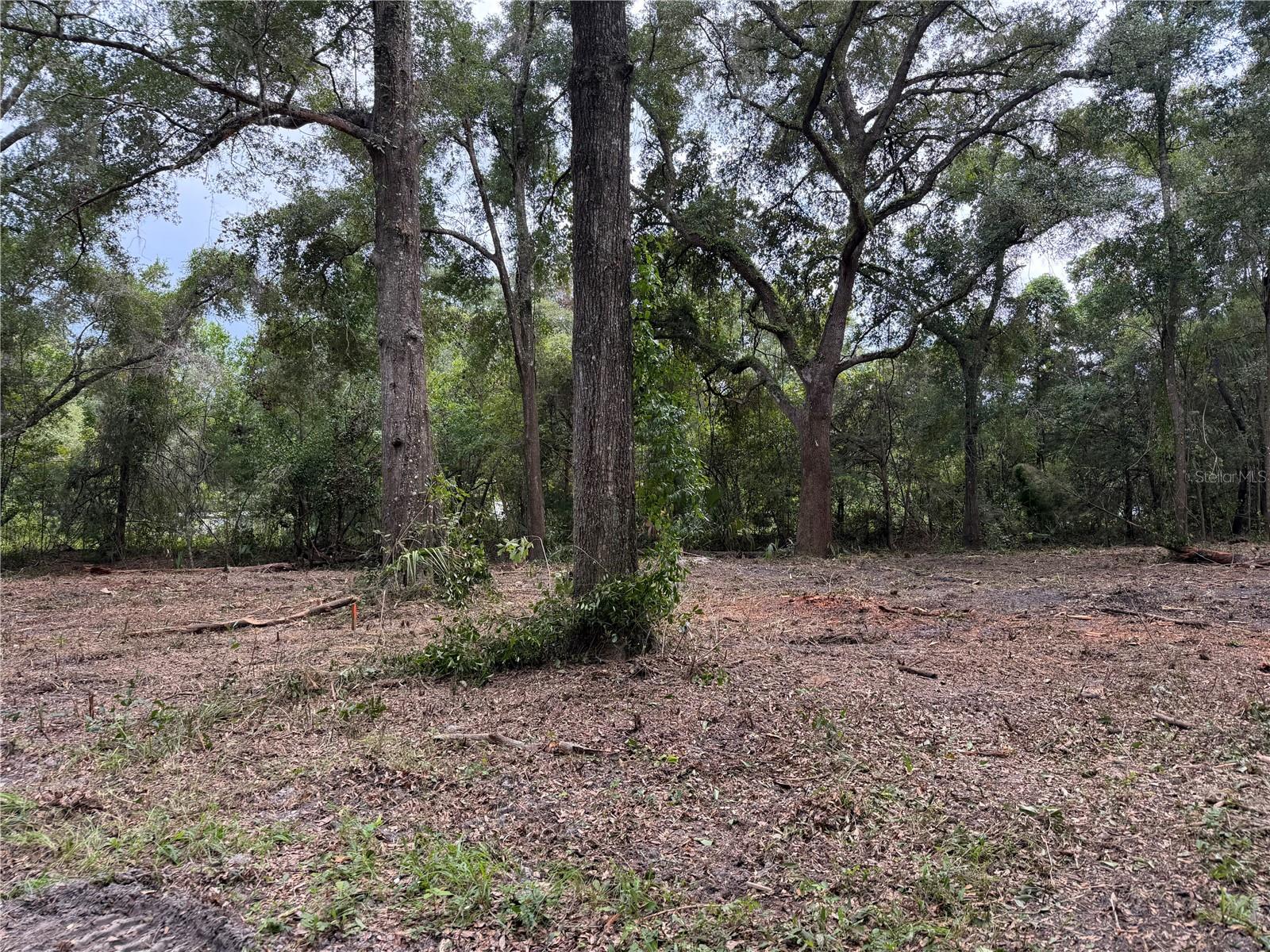 1410 NW 10TH ST, CHIEFLAND, FL — photo 6