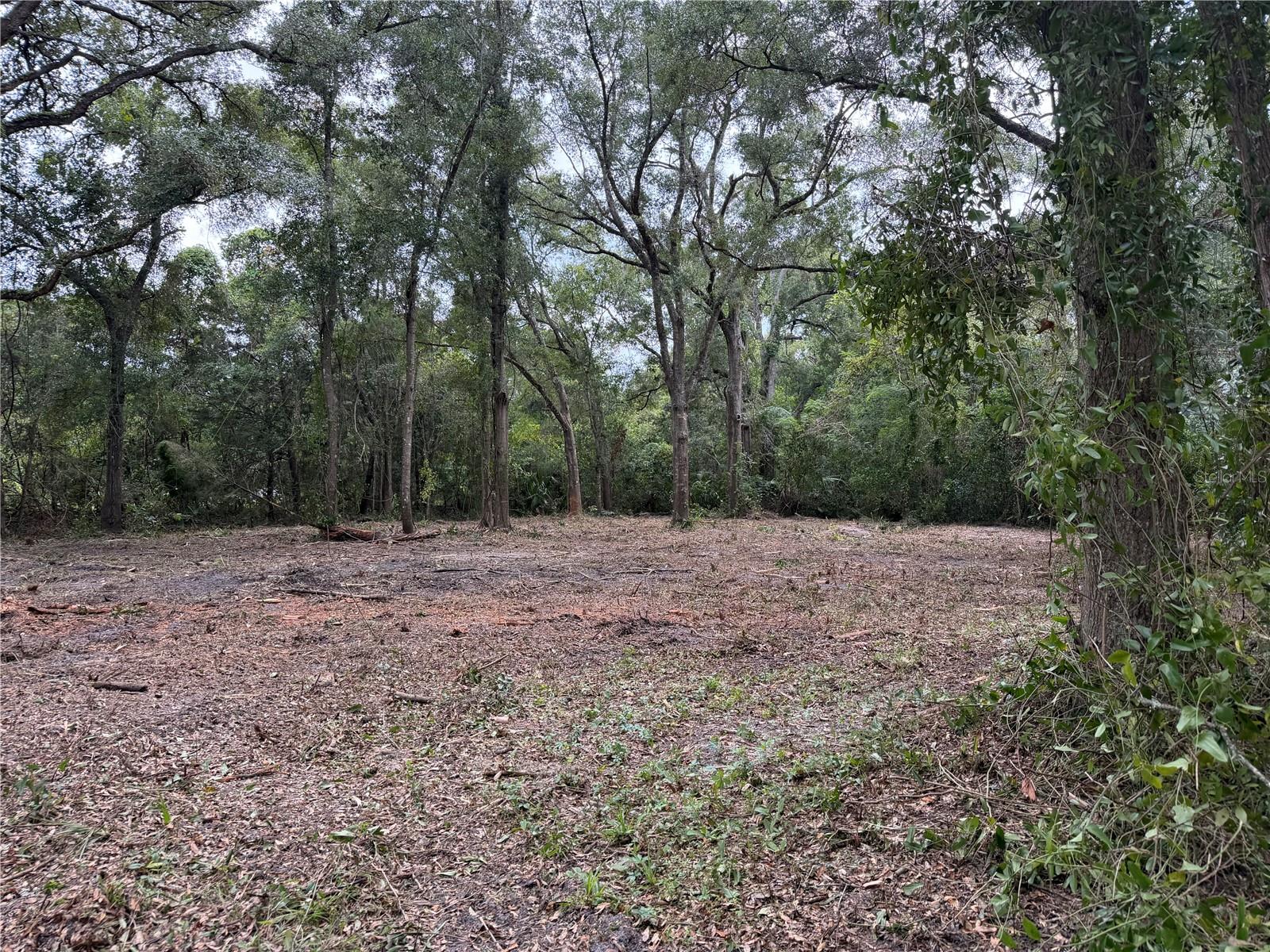 1410 NW 10TH ST, CHIEFLAND, FL — photo 7