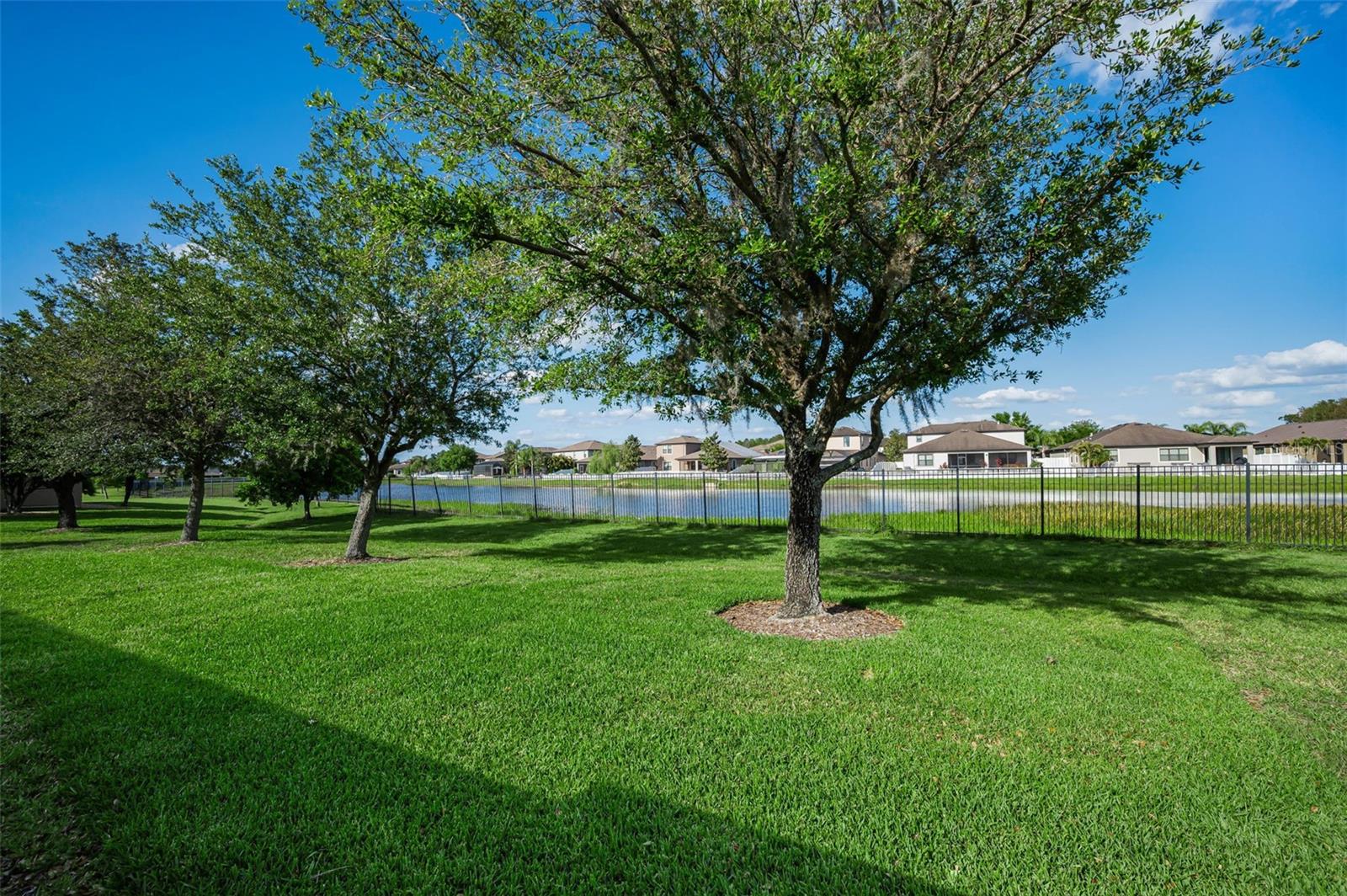 1933 ARBOR KNOLL LOOP, TRINITY, FL — photo 44