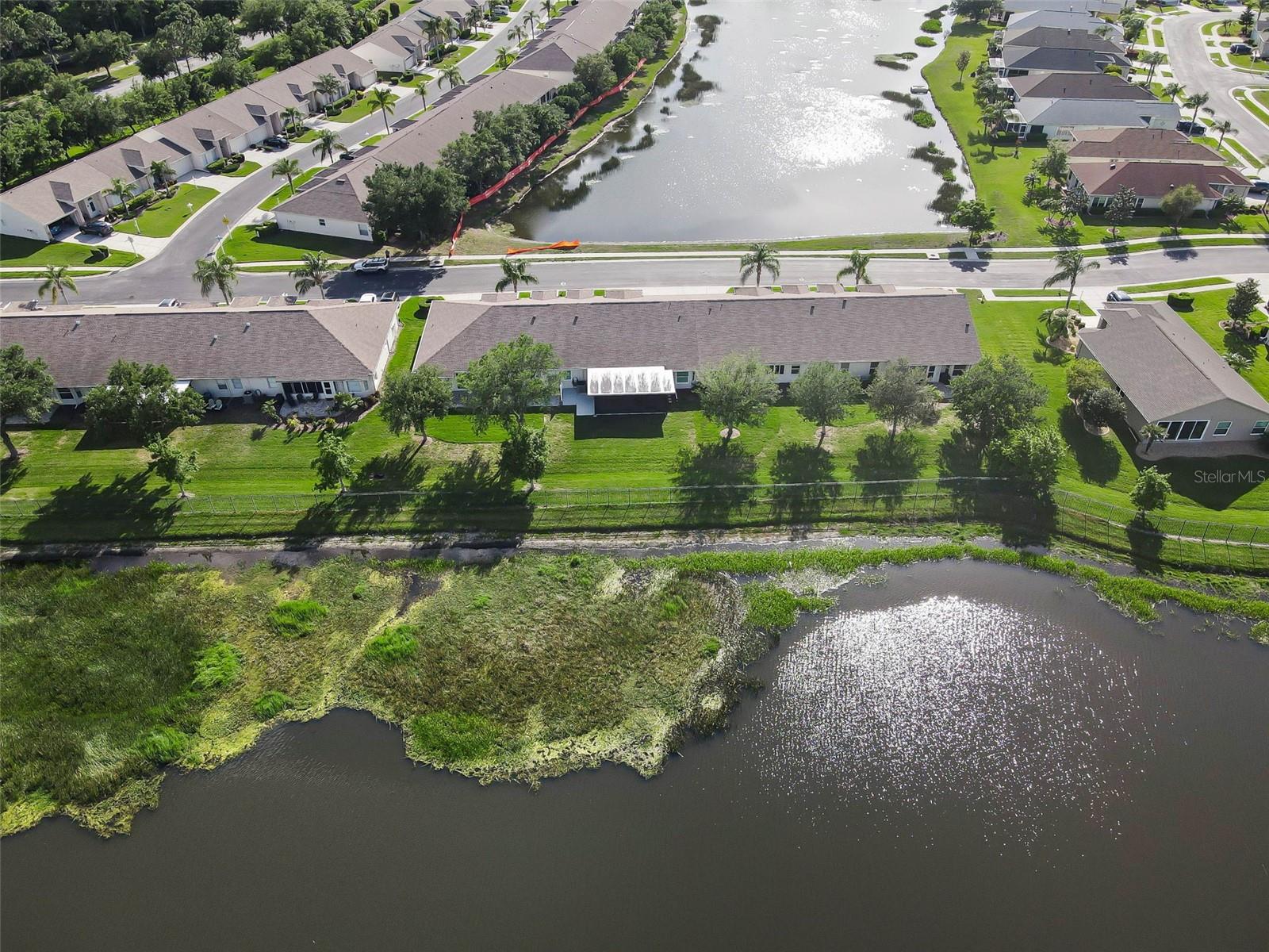 1933 ARBOR KNOLL LOOP, TRINITY, FL — photo 49