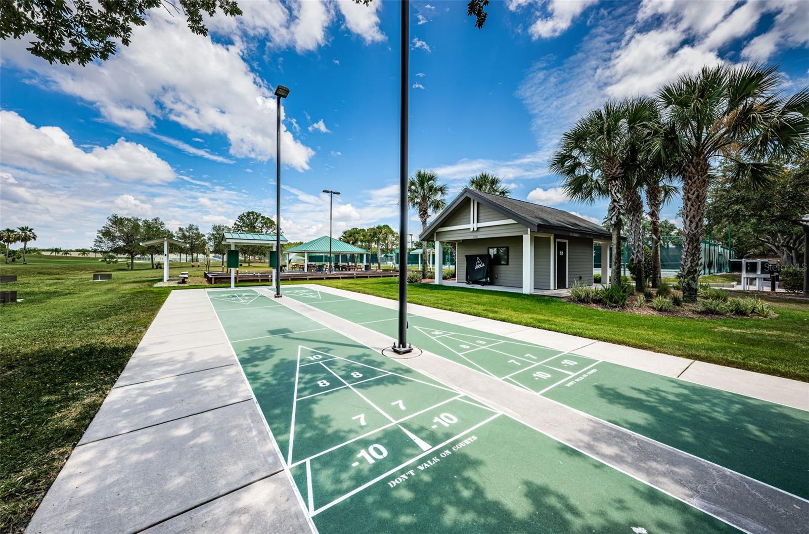 1933 ARBOR KNOLL LOOP, TRINITY, FL — photo 93