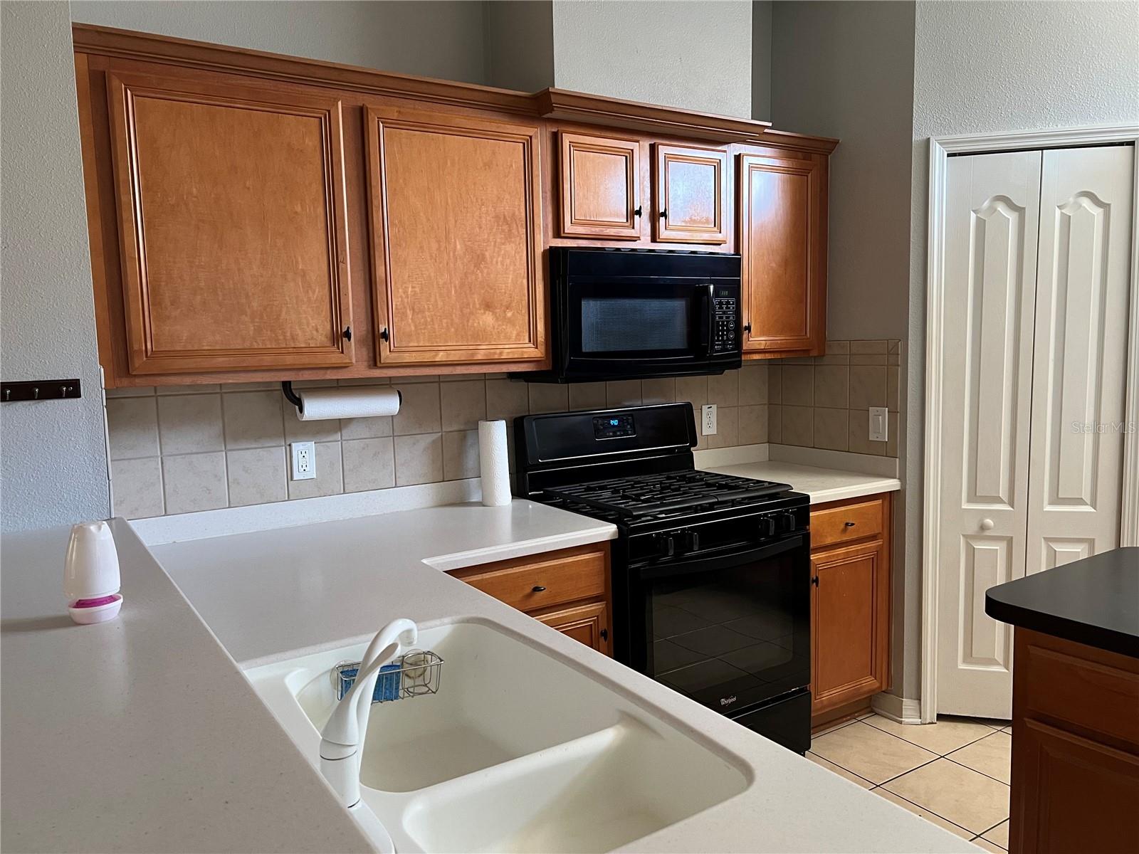 20027 HERITAGE POINTE, TAMPA, FL — photo 11