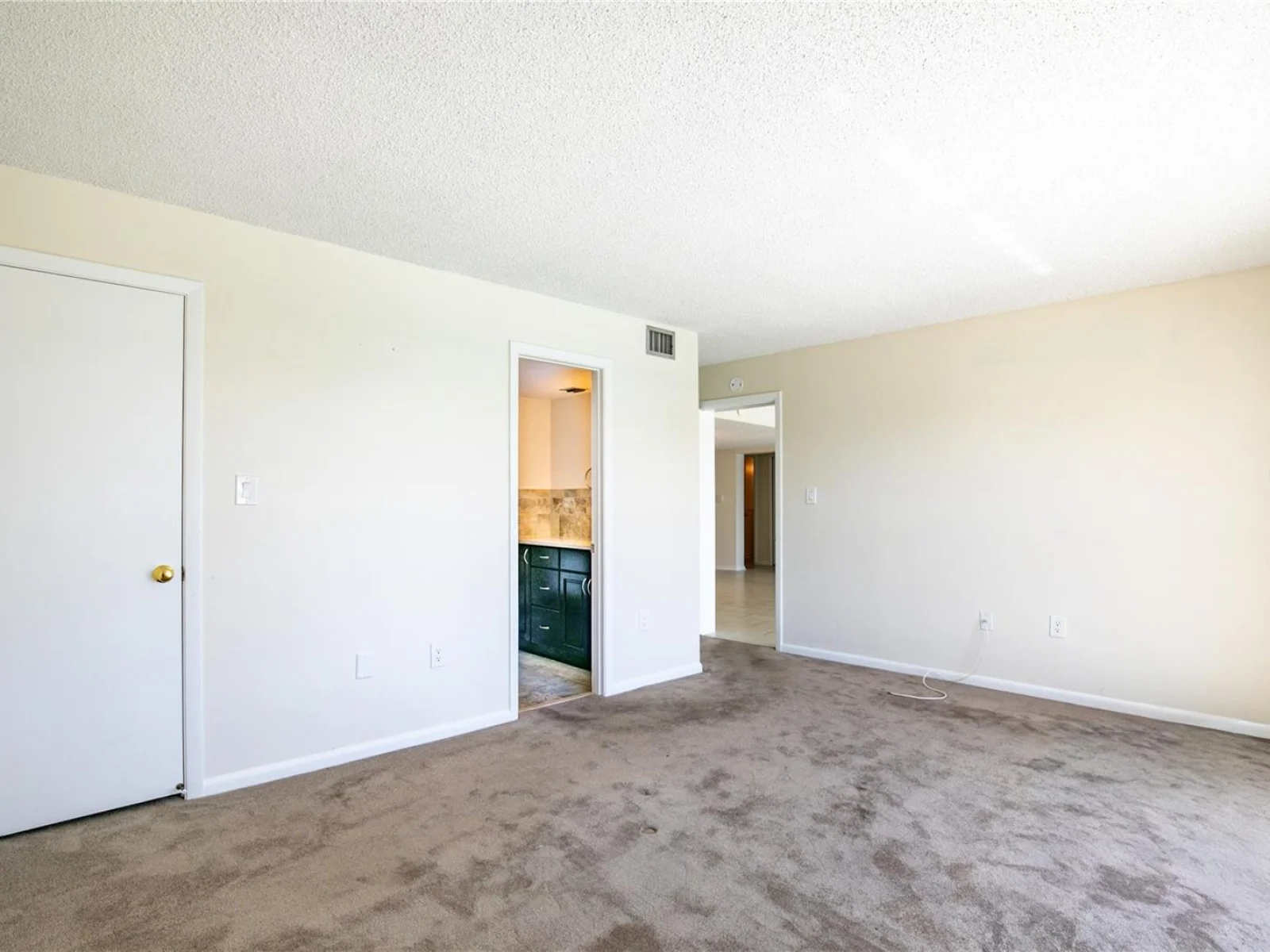 601 MCDONALD STREET #105, MOUNT DORA, FL — photo 33