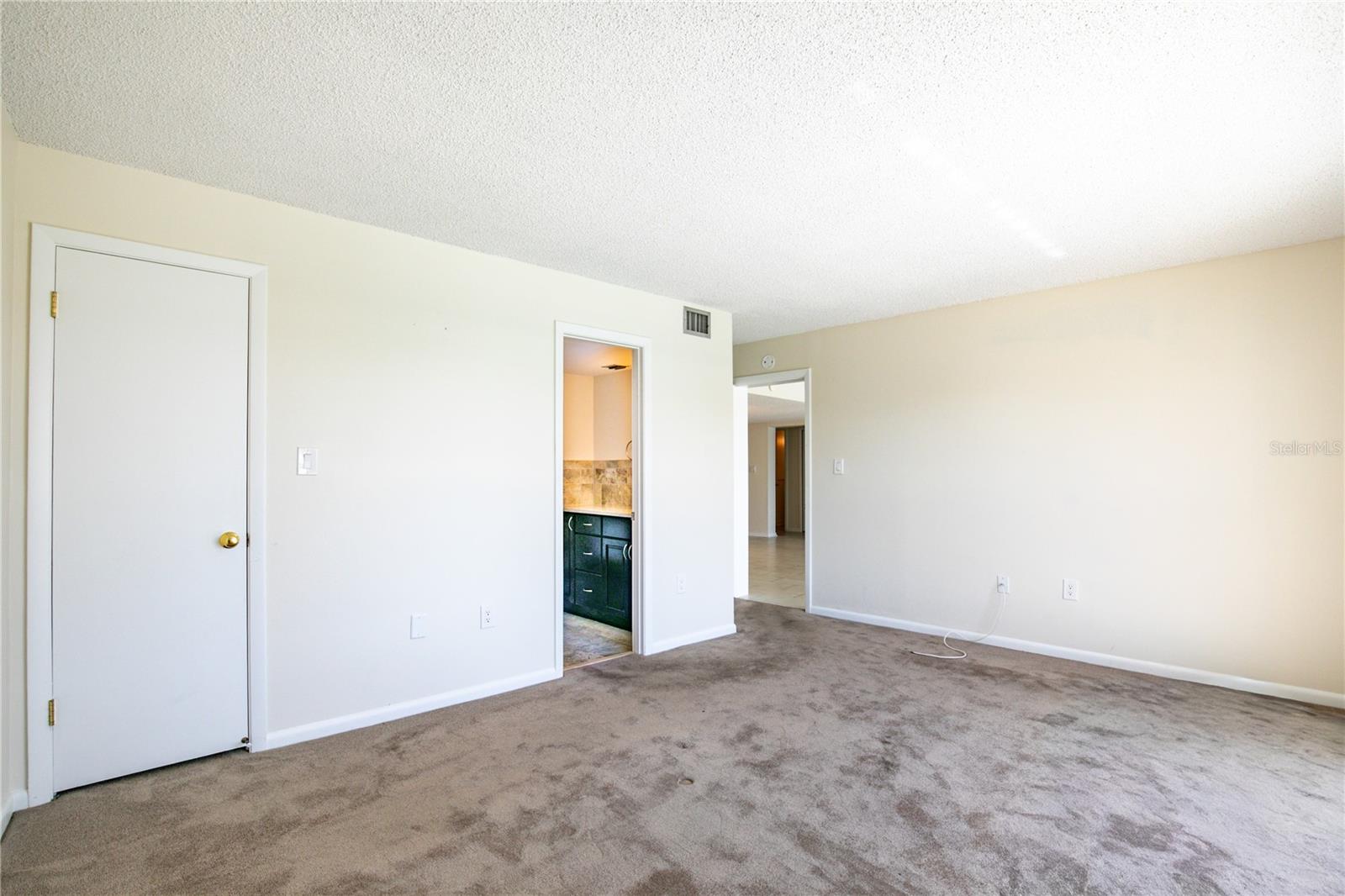 601 MCDONALD STREET #105, MOUNT DORA, FL — photo 34