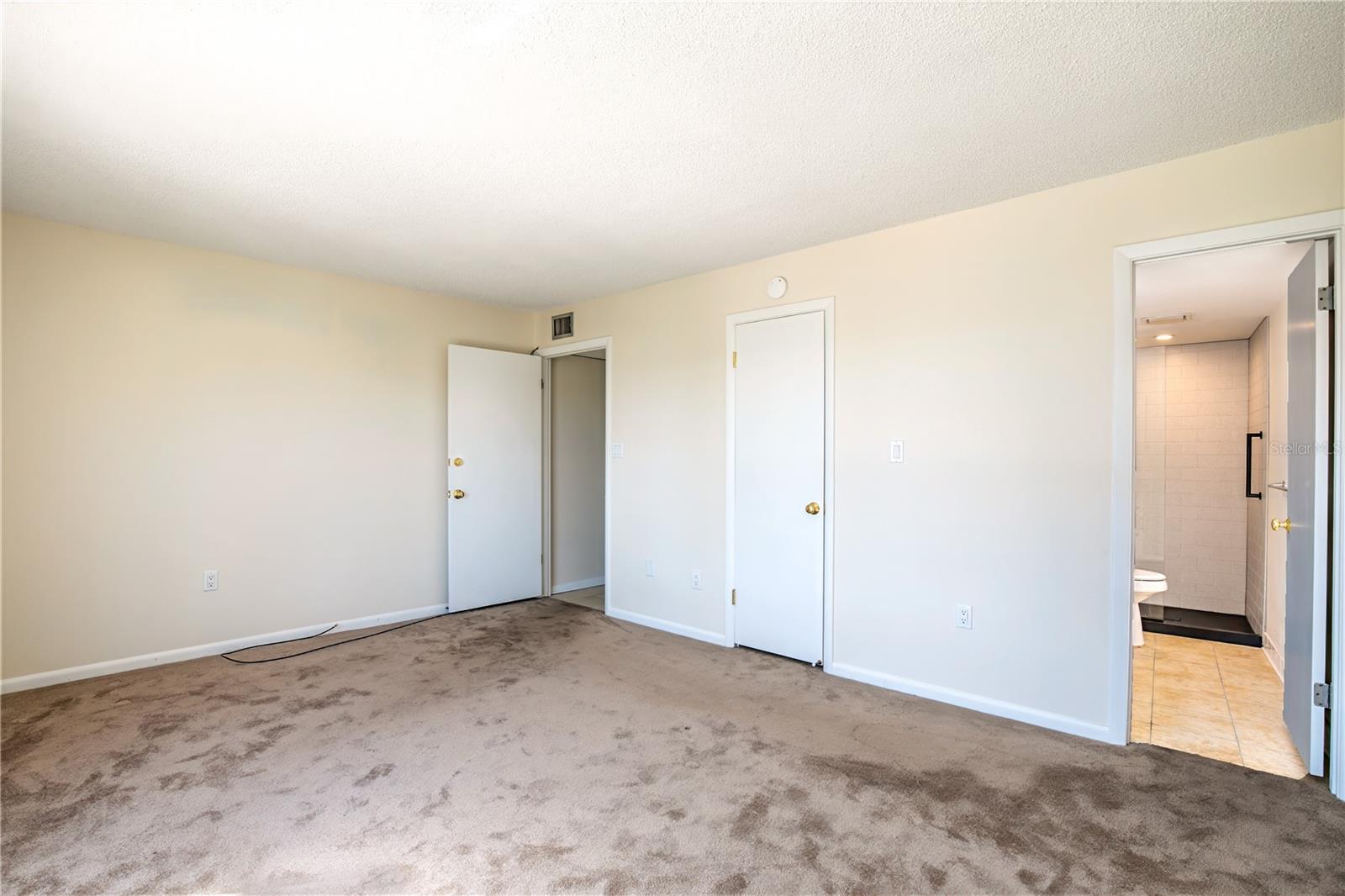 601 MCDONALD STREET #105, MOUNT DORA, FL — photo 53