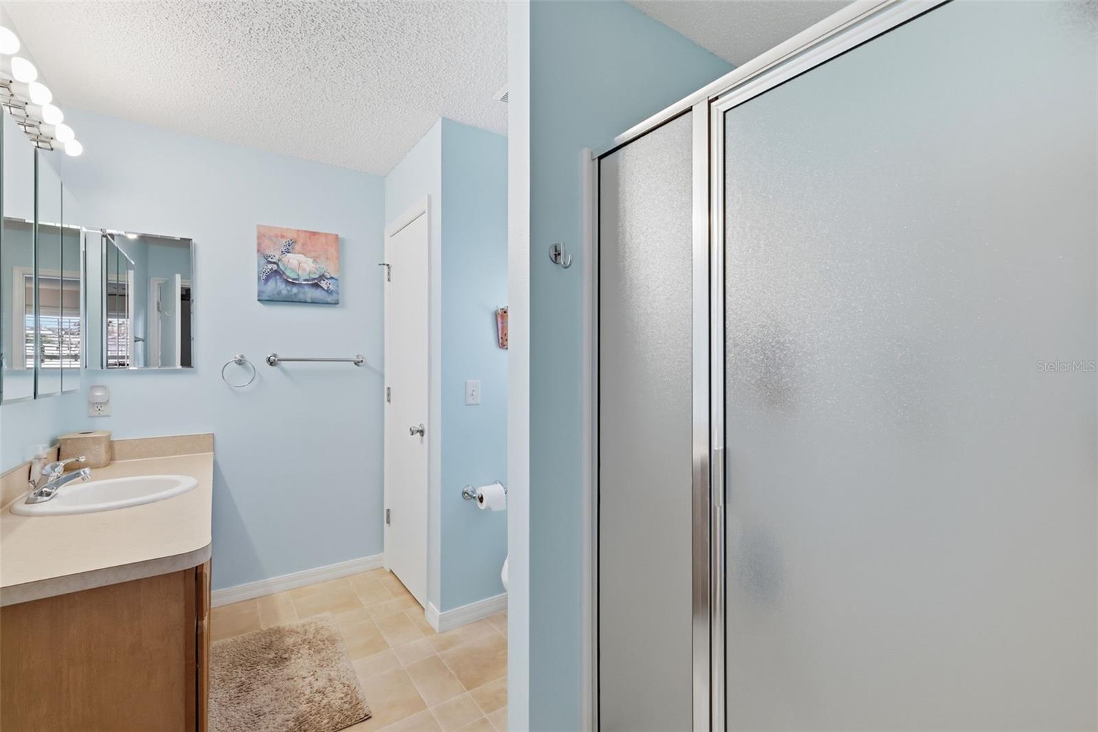 1609 BLOSSOM TER, THE VILLAGES, FL — photo 14